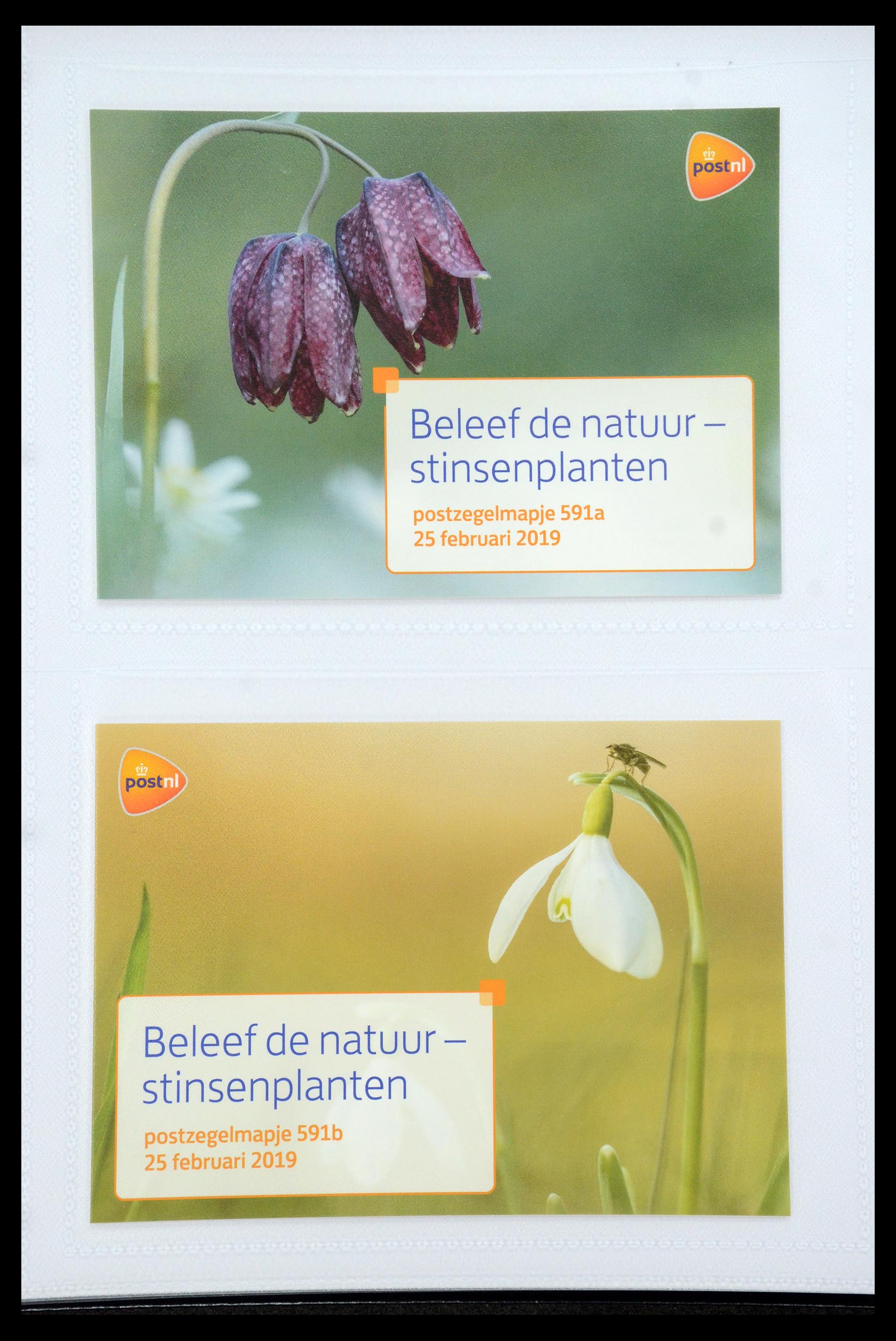 35947 357 - Stamp Collection 35947 Netherlands PTT presentation packs 1982-2019!