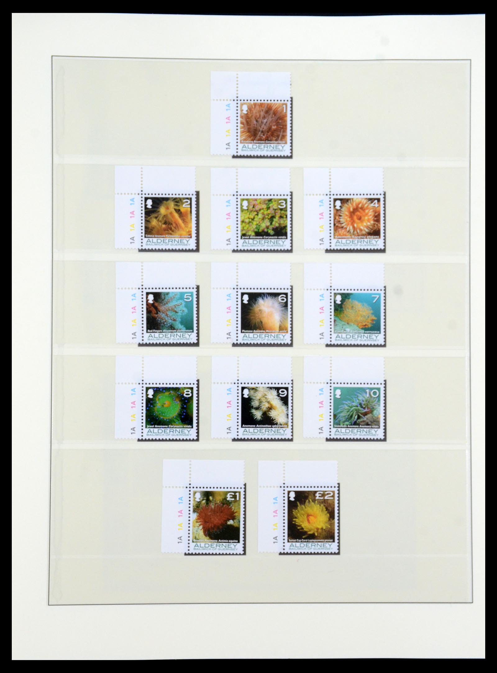 36001 034 - Postzegelverzameling 36001 Alderney 1983-2008.