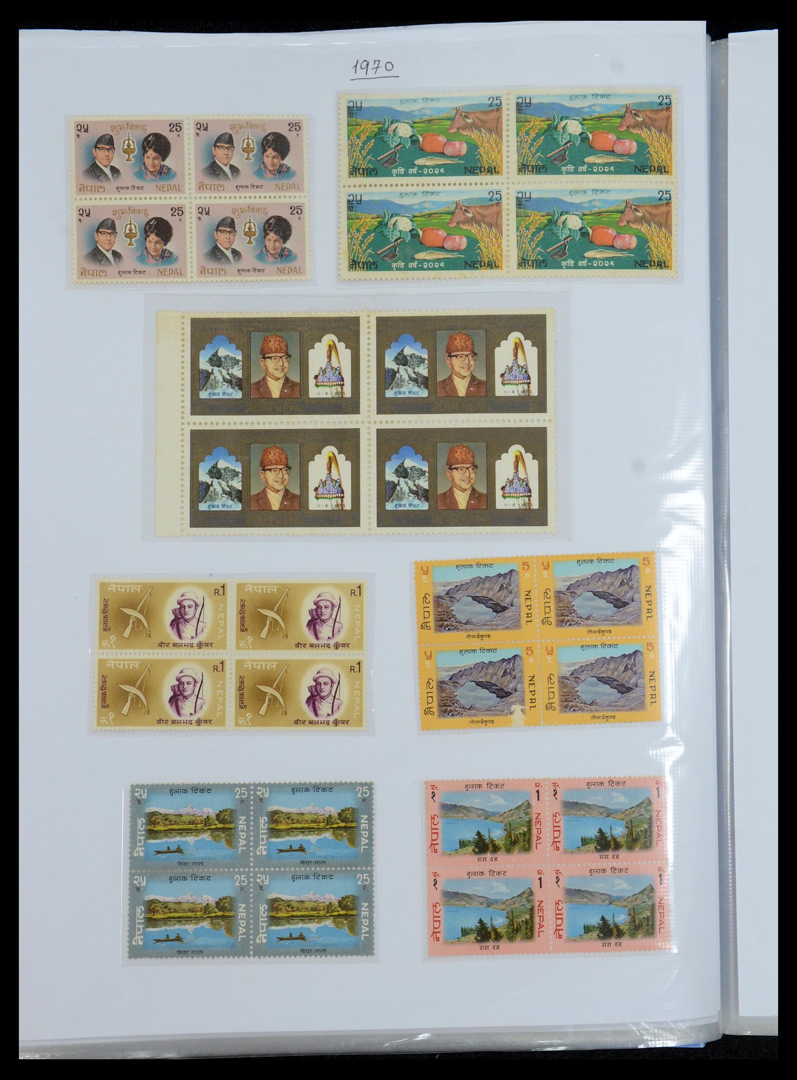 36038 032 - Postzegelverzameling 36038 Nepal 1899-2020!