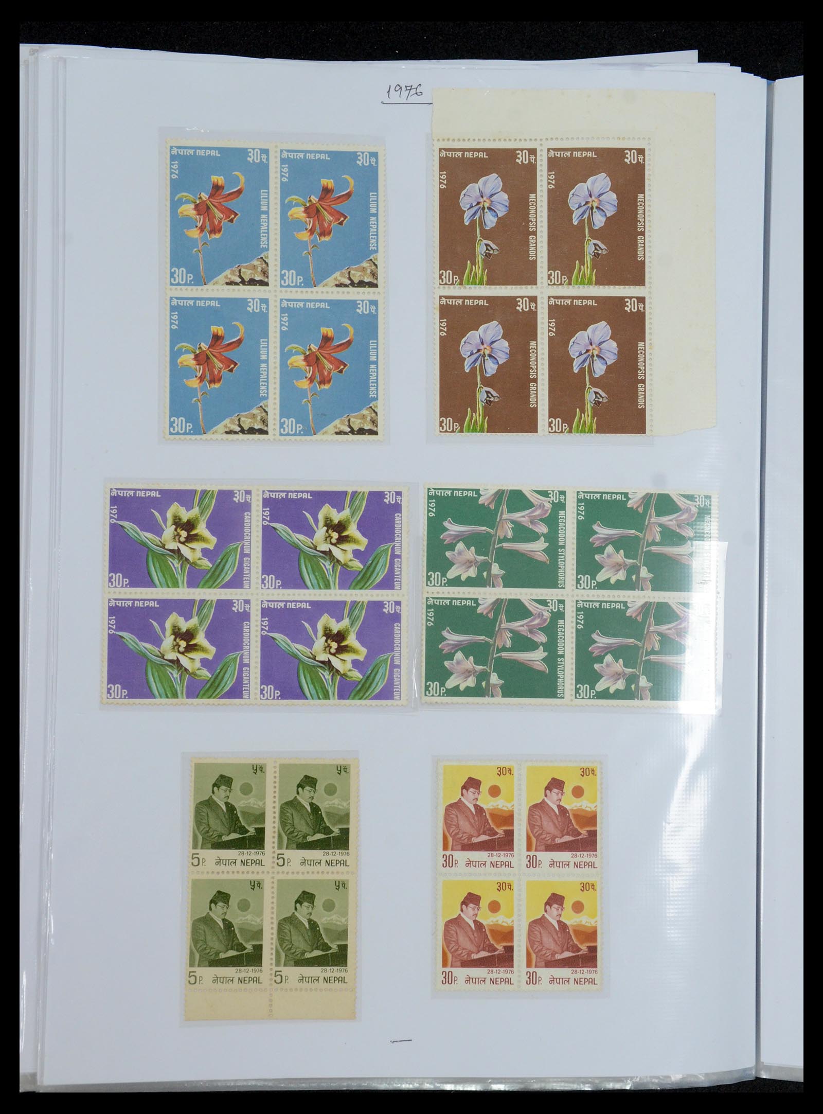 36038 048 - Postzegelverzameling 36038 Nepal 1899-2020!