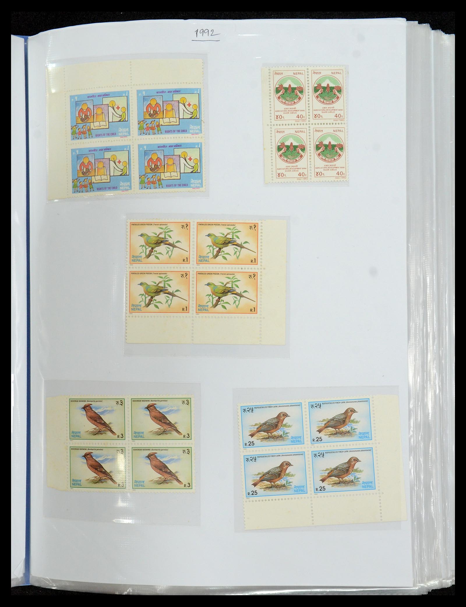 36038 083 - Postzegelverzameling 36038 Nepal 1899-2020!