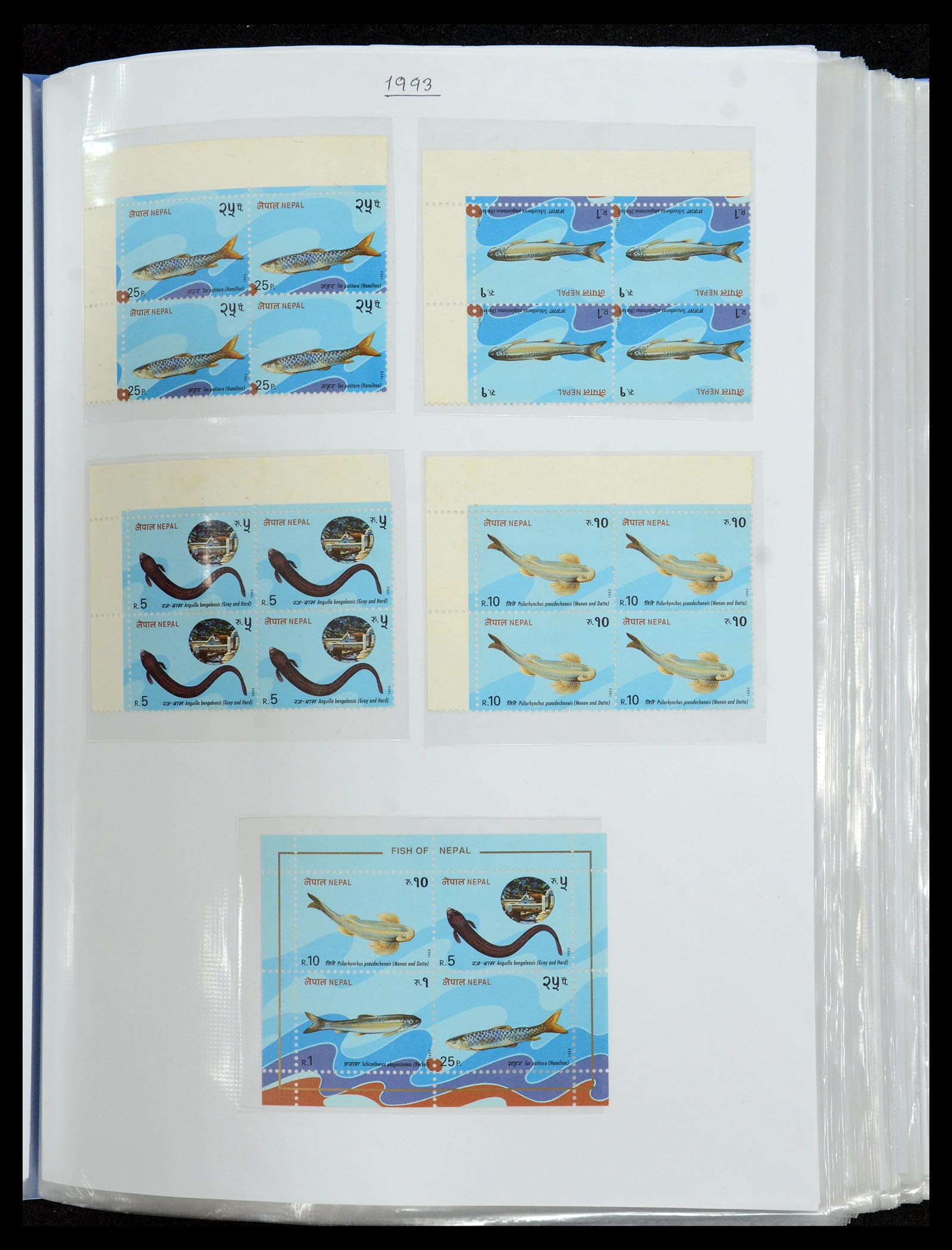 36038 085 - Postzegelverzameling 36038 Nepal 1899-2020!
