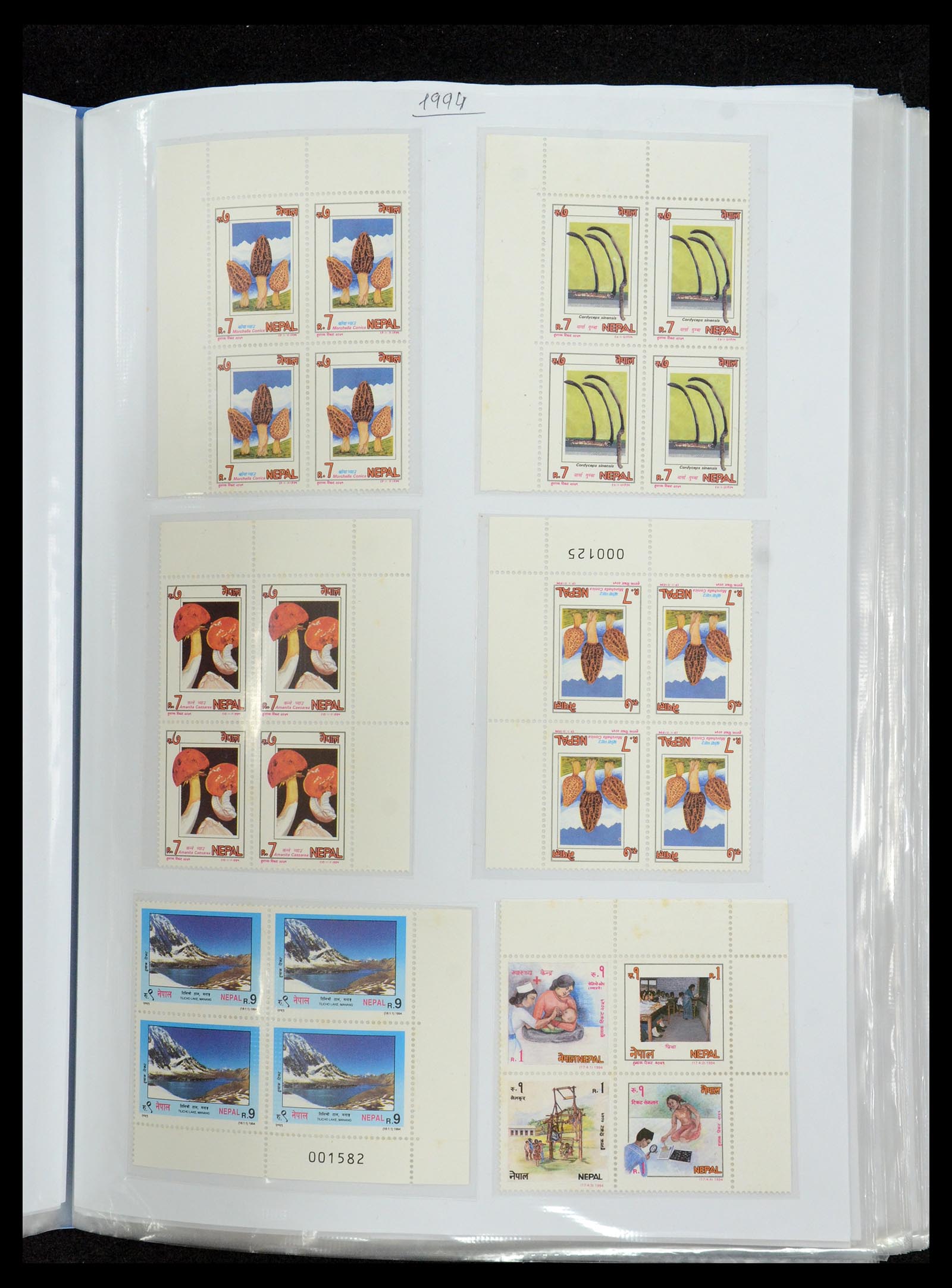 36038 091 - Postzegelverzameling 36038 Nepal 1899-2020!