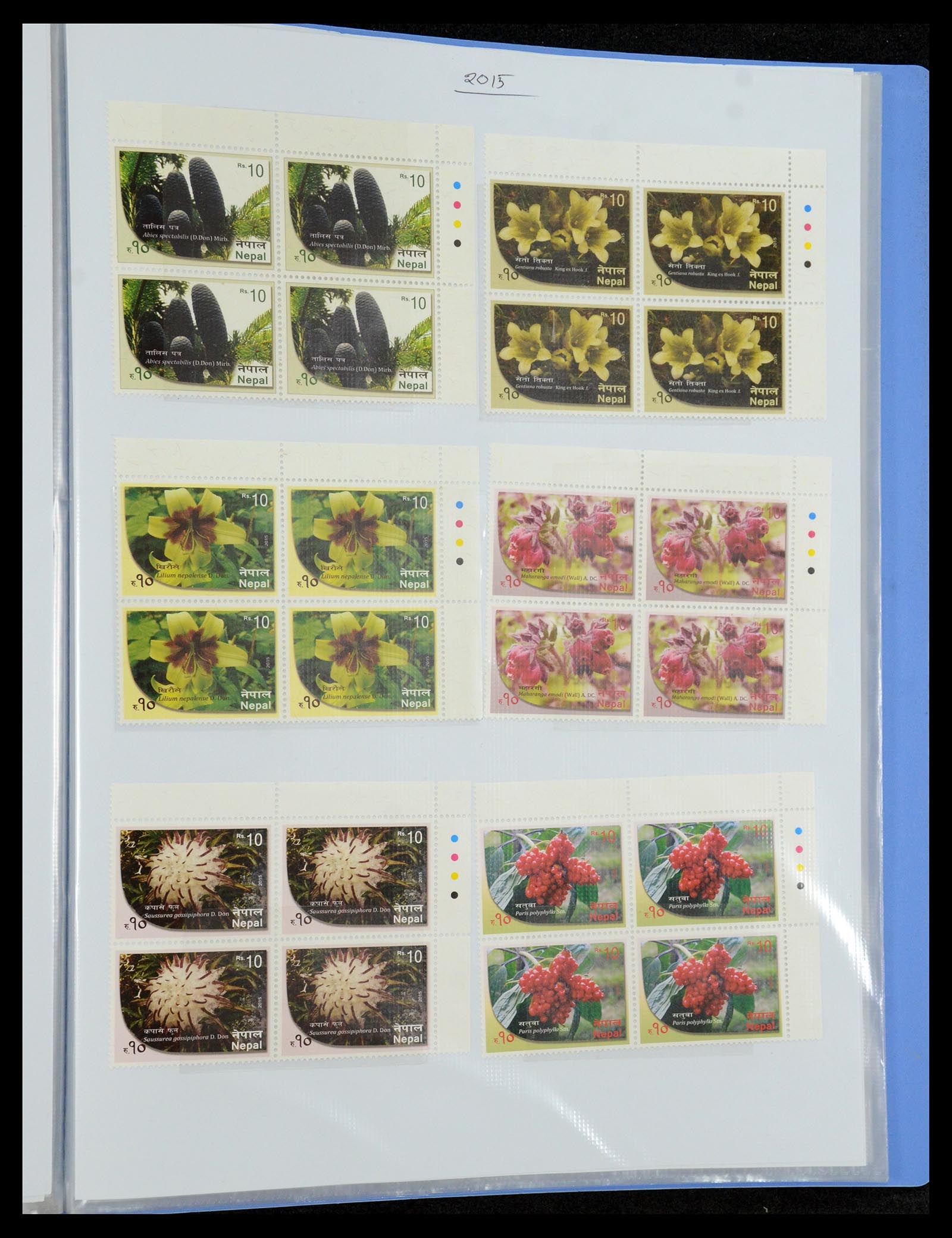 36038 189 - Postzegelverzameling 36038 Nepal 1899-2020!