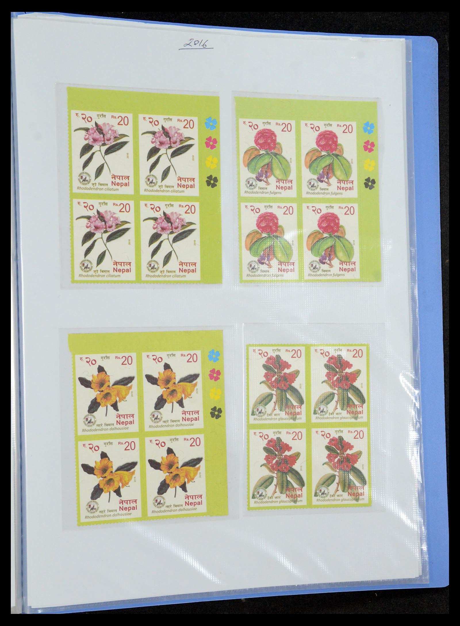 36038 195 - Postzegelverzameling 36038 Nepal 1899-2020!