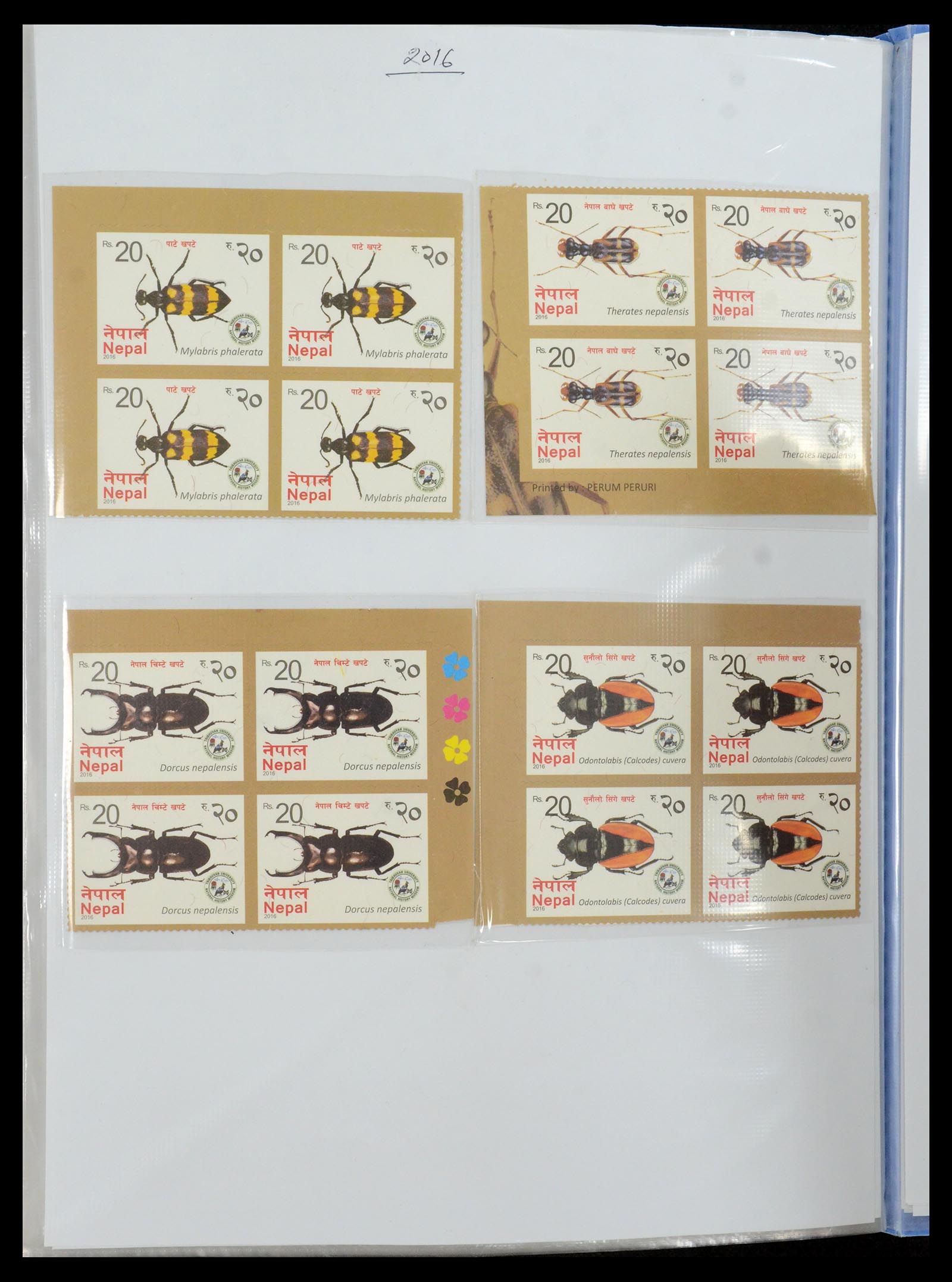 36038 196 - Postzegelverzameling 36038 Nepal 1899-2020!