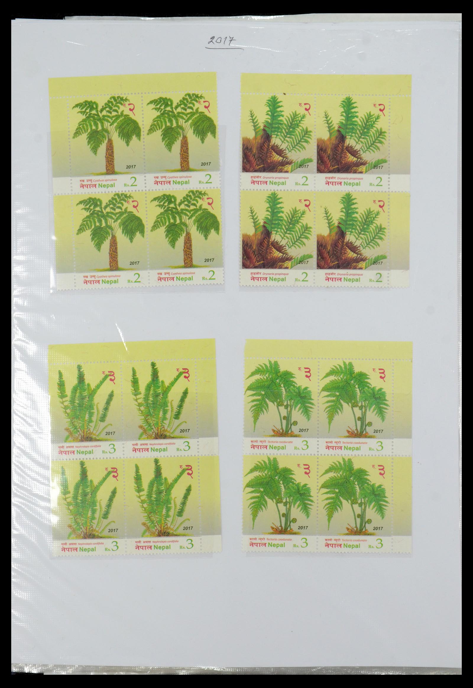 36038 206 - Postzegelverzameling 36038 Nepal 1899-2020!