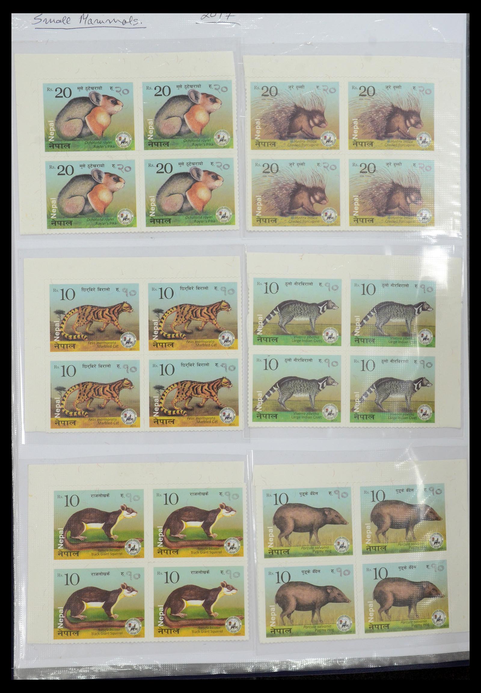 36038 207 - Stamp collection 36038 Nepal 1899-2020!