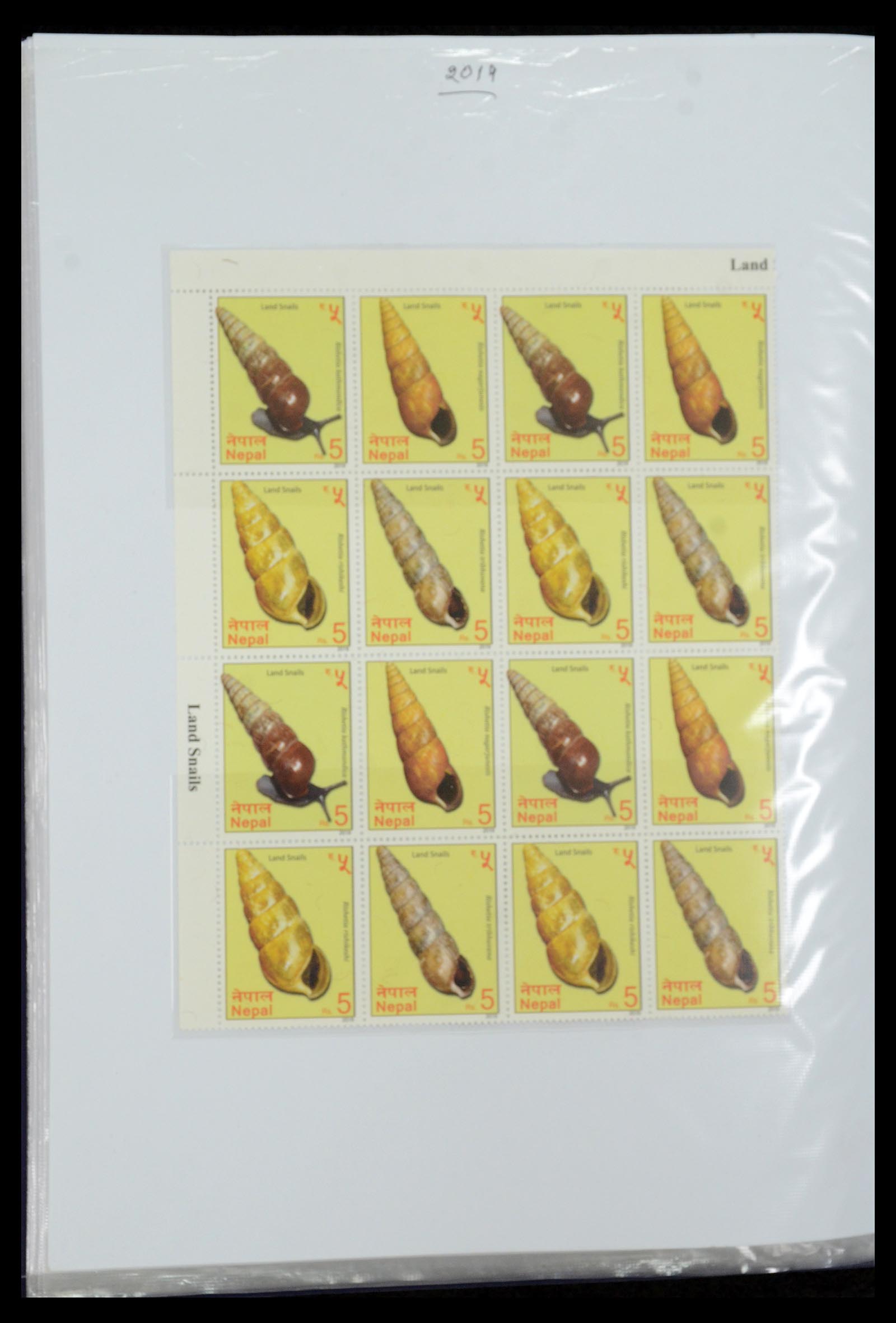 36038 213 - Postzegelverzameling 36038 Nepal 1899-2020!