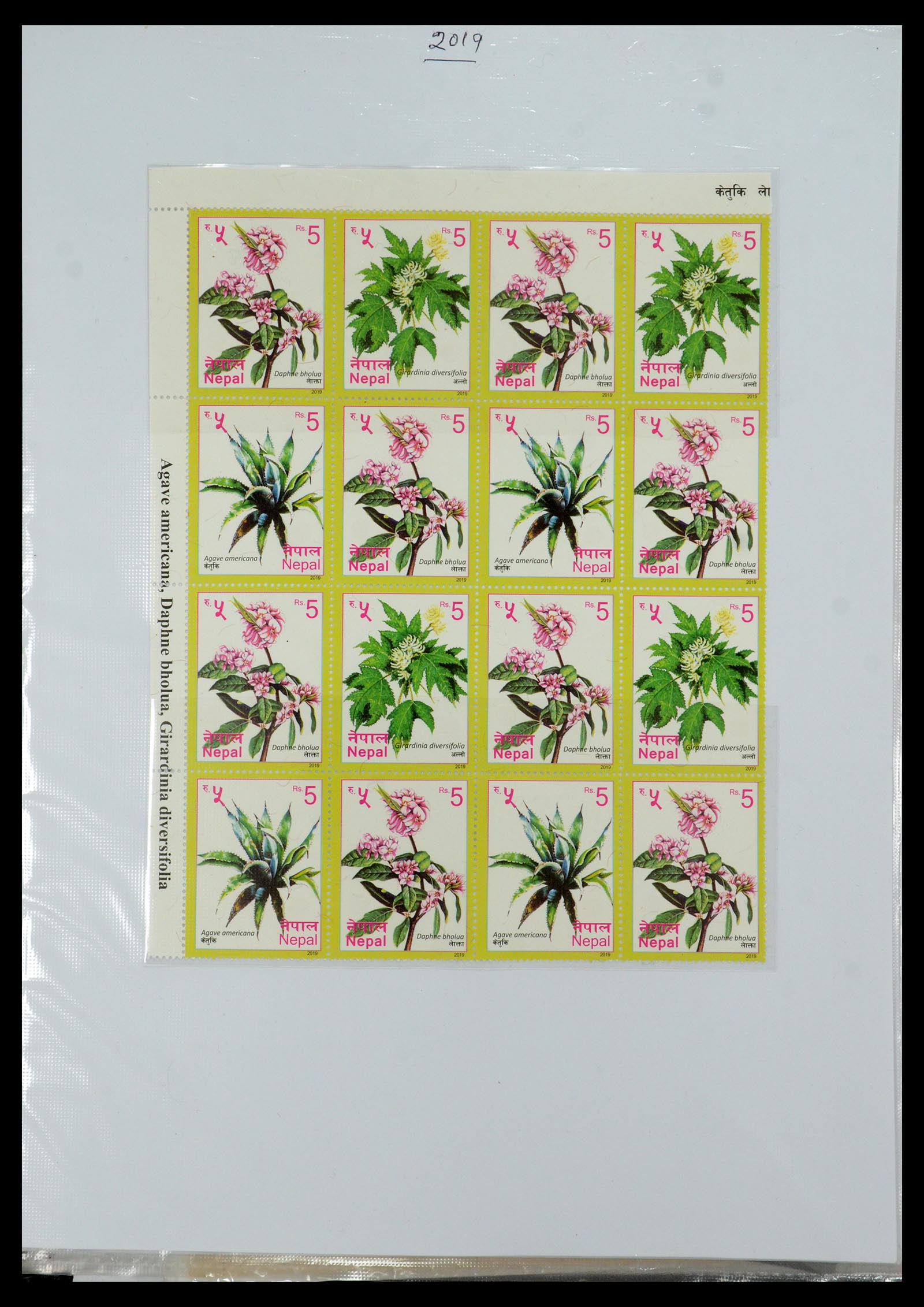 36038 214 - Postzegelverzameling 36038 Nepal 1899-2020!