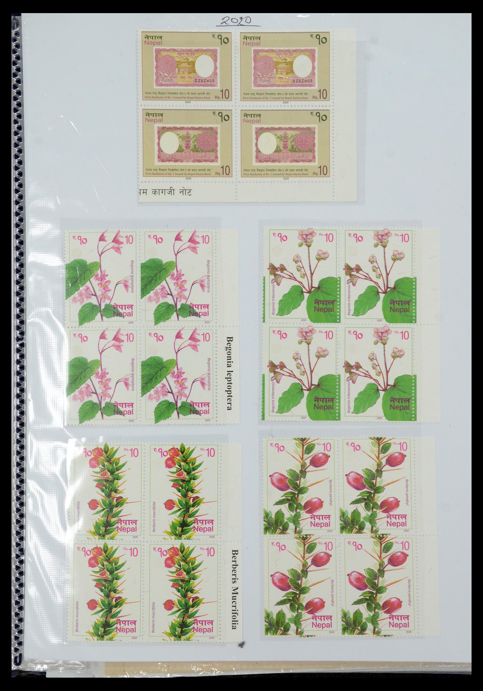 36038 218 - Postzegelverzameling 36038 Nepal 1899-2020!