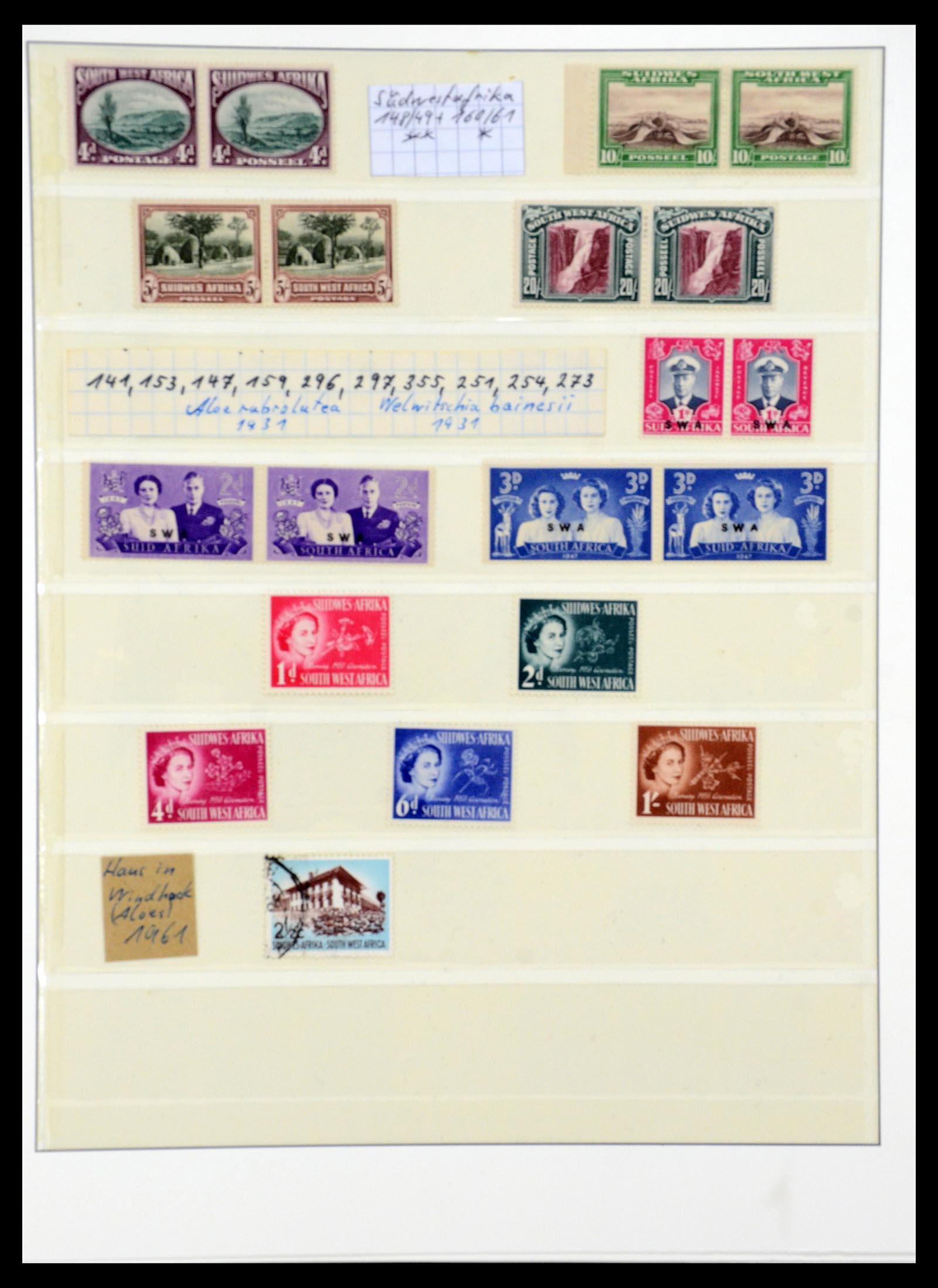 36096 008 - Postzegelverzameling 36096 Motief cactus 1900-2015!