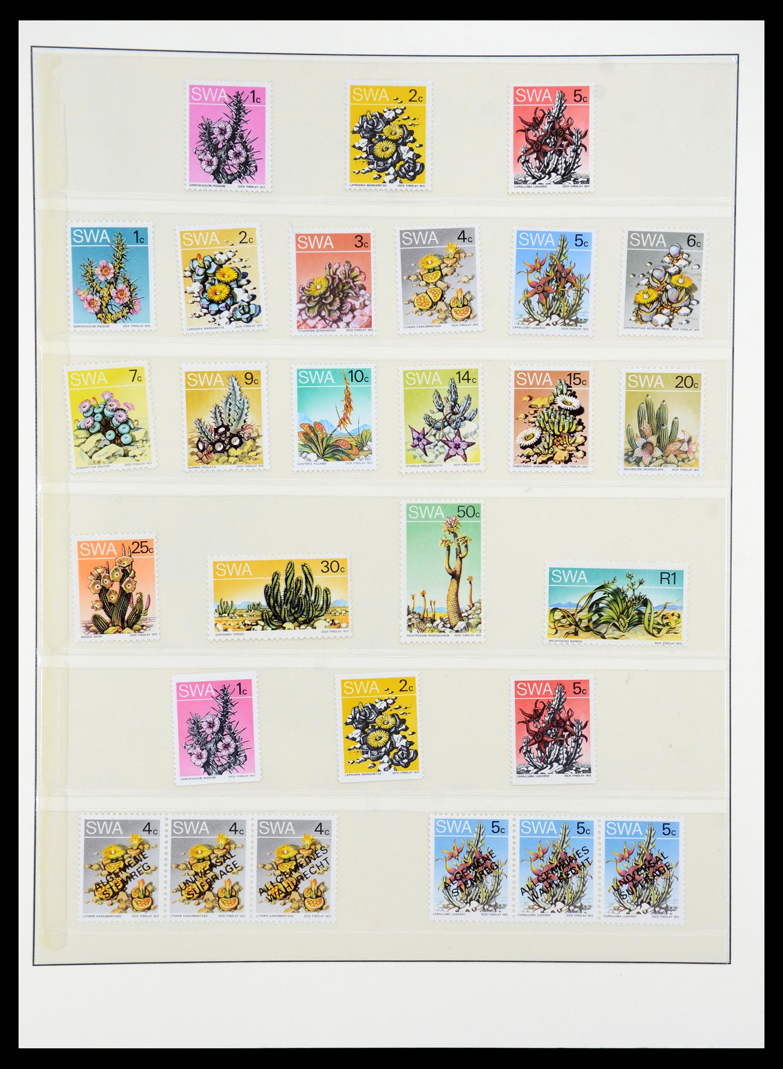 36096 009 - Postzegelverzameling 36096 Motief cactus 1900-2015!