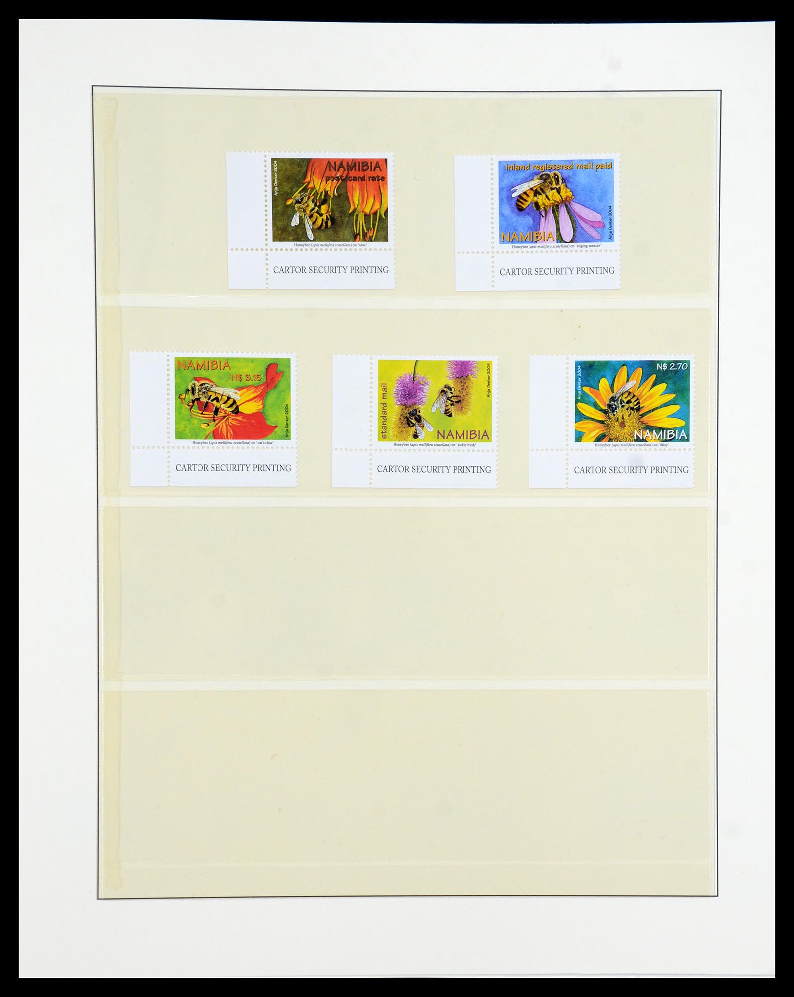 36096 019 - Postzegelverzameling 36096 Motief cactus 1900-2015!