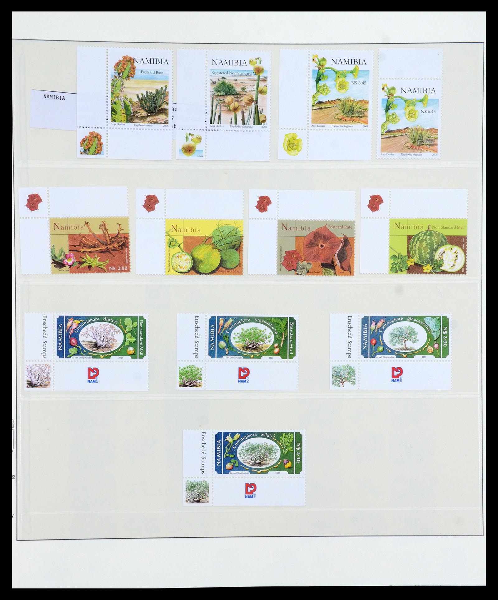 36096 021 - Postzegelverzameling 36096 Motief cactus 1900-2015!