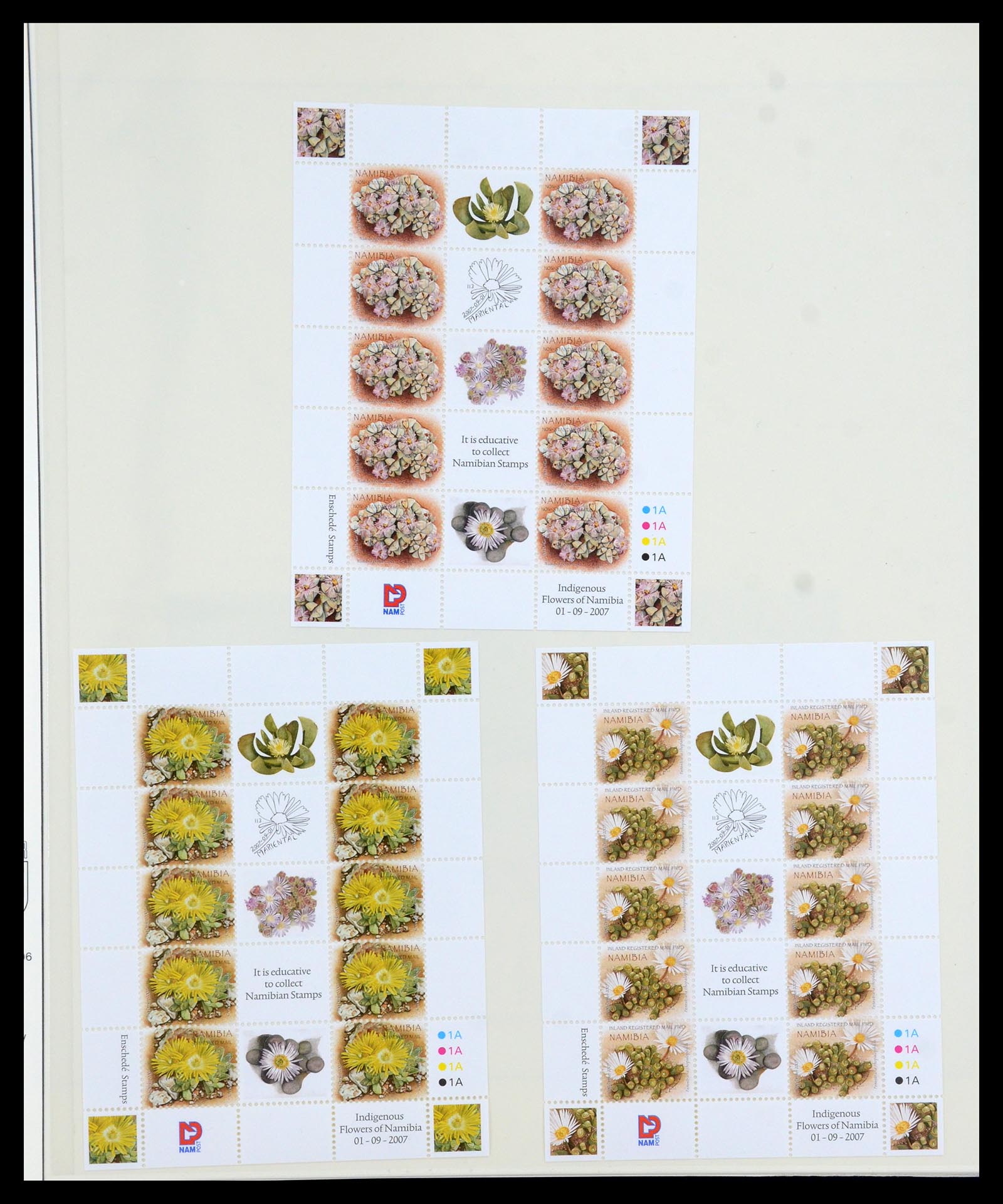 36096 022 - Stamp collection 36096 Theme cactus 1900-2015!