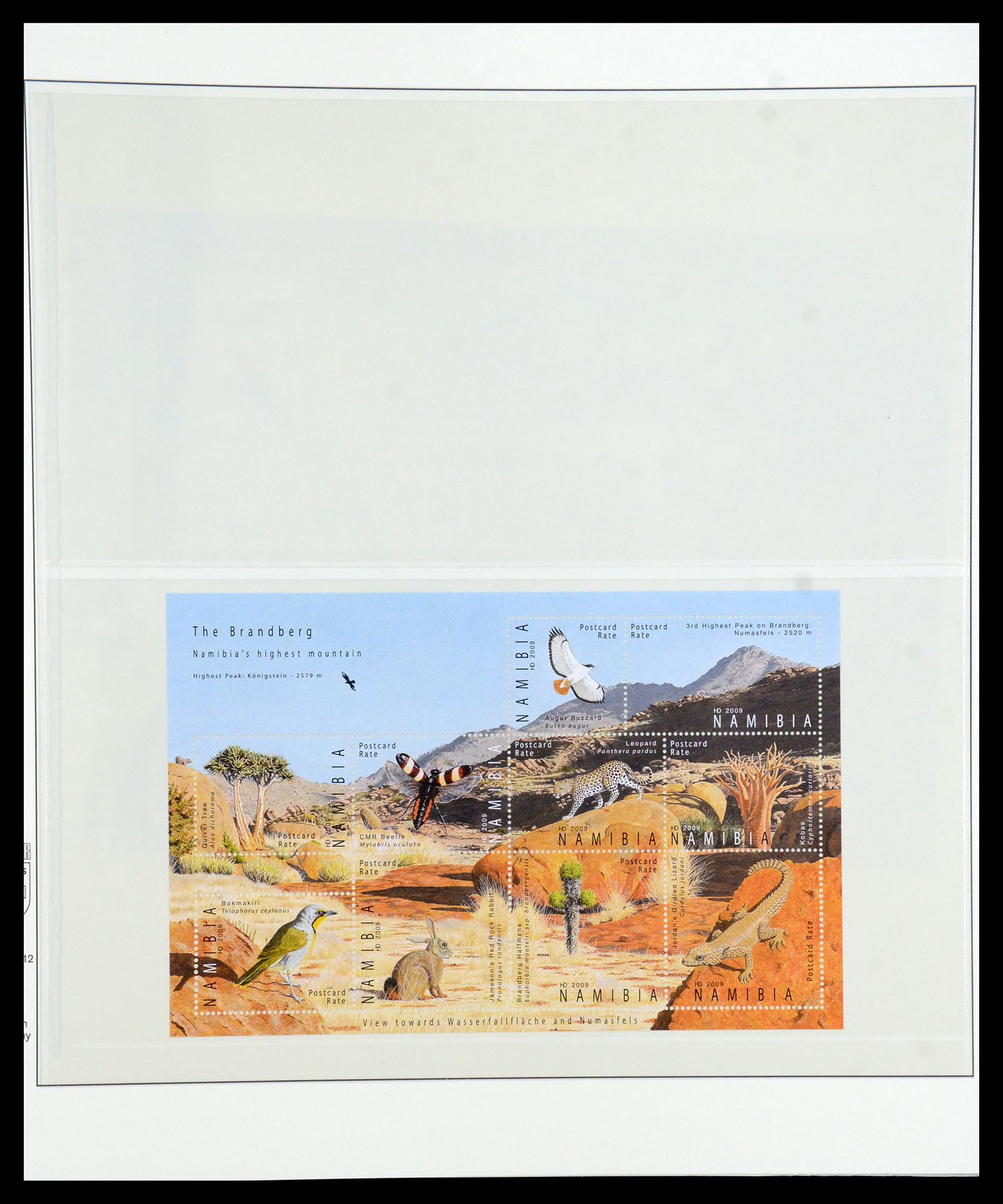 36096 023 - Postzegelverzameling 36096 Motief cactus 1900-2015!