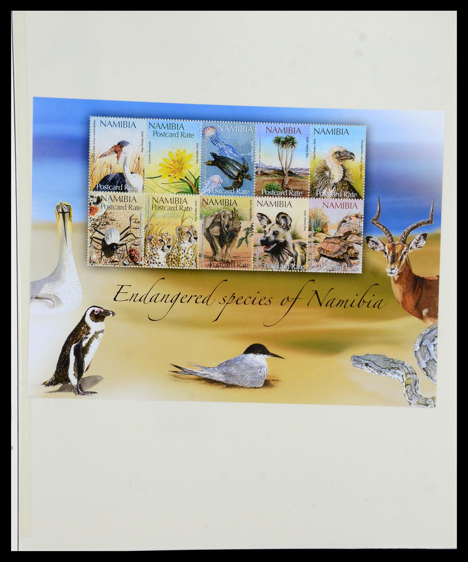 36096 024 - Postzegelverzameling 36096 Motief cactus 1900-2015!