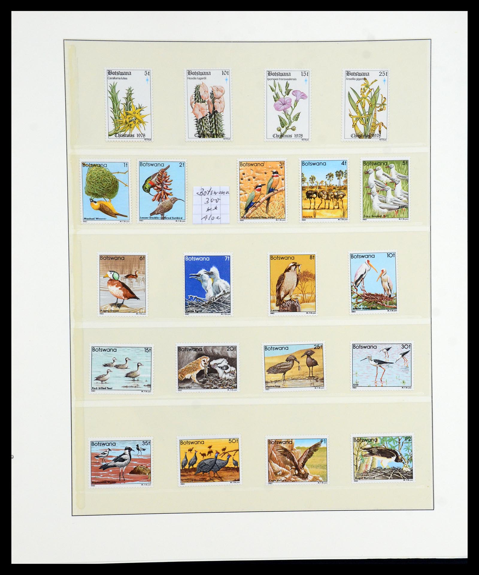 36096 029 - Postzegelverzameling 36096 Motief cactus 1900-2015!