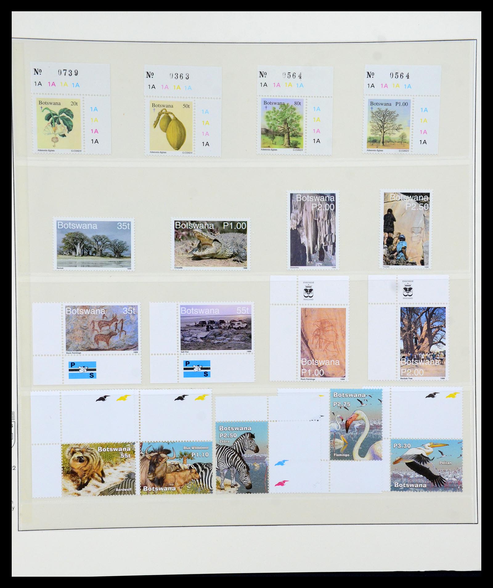 36096 031 - Postzegelverzameling 36096 Motief cactus 1900-2015!