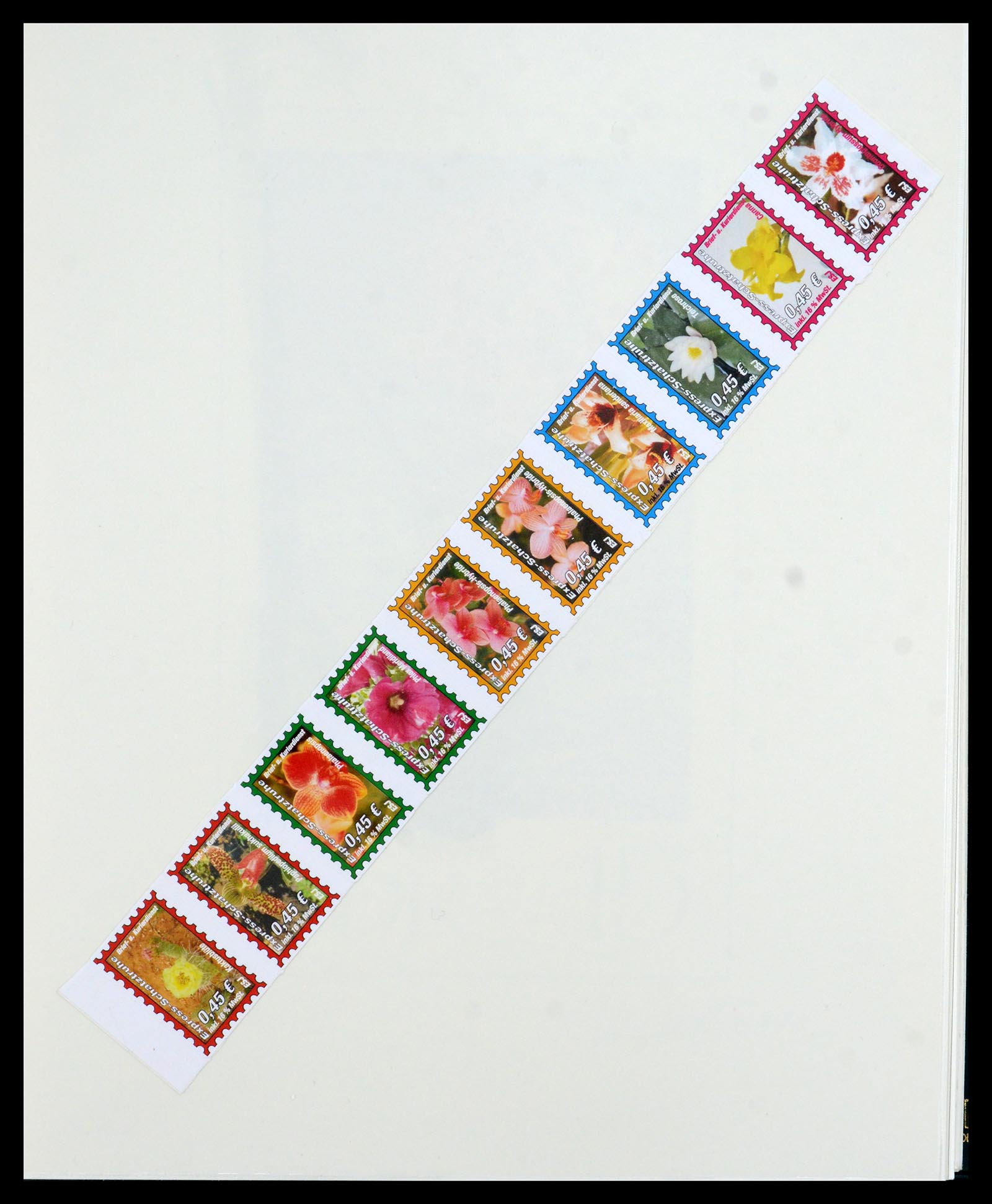 36096 034 - Postzegelverzameling 36096 Motief cactus 1900-2015!