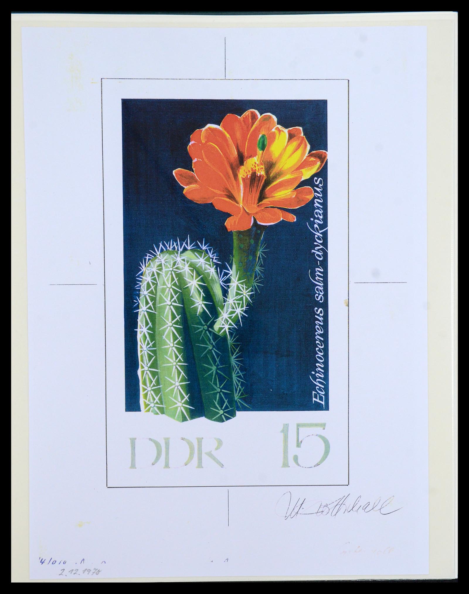 36096 035 - Postzegelverzameling 36096 Motief cactus 1900-2015!