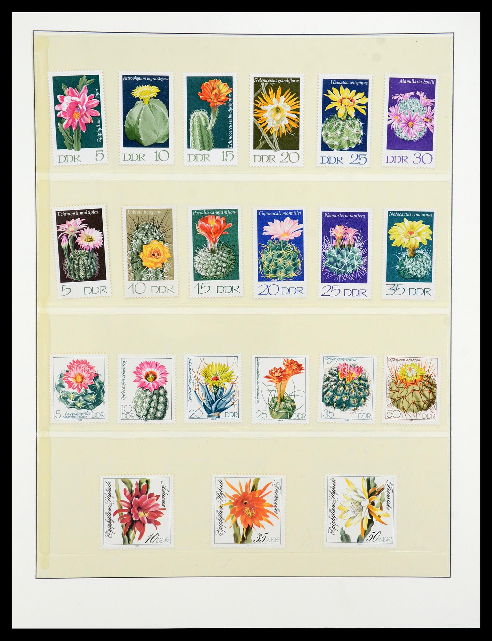 36096 037 - Postzegelverzameling 36096 Motief cactus 1900-2015!