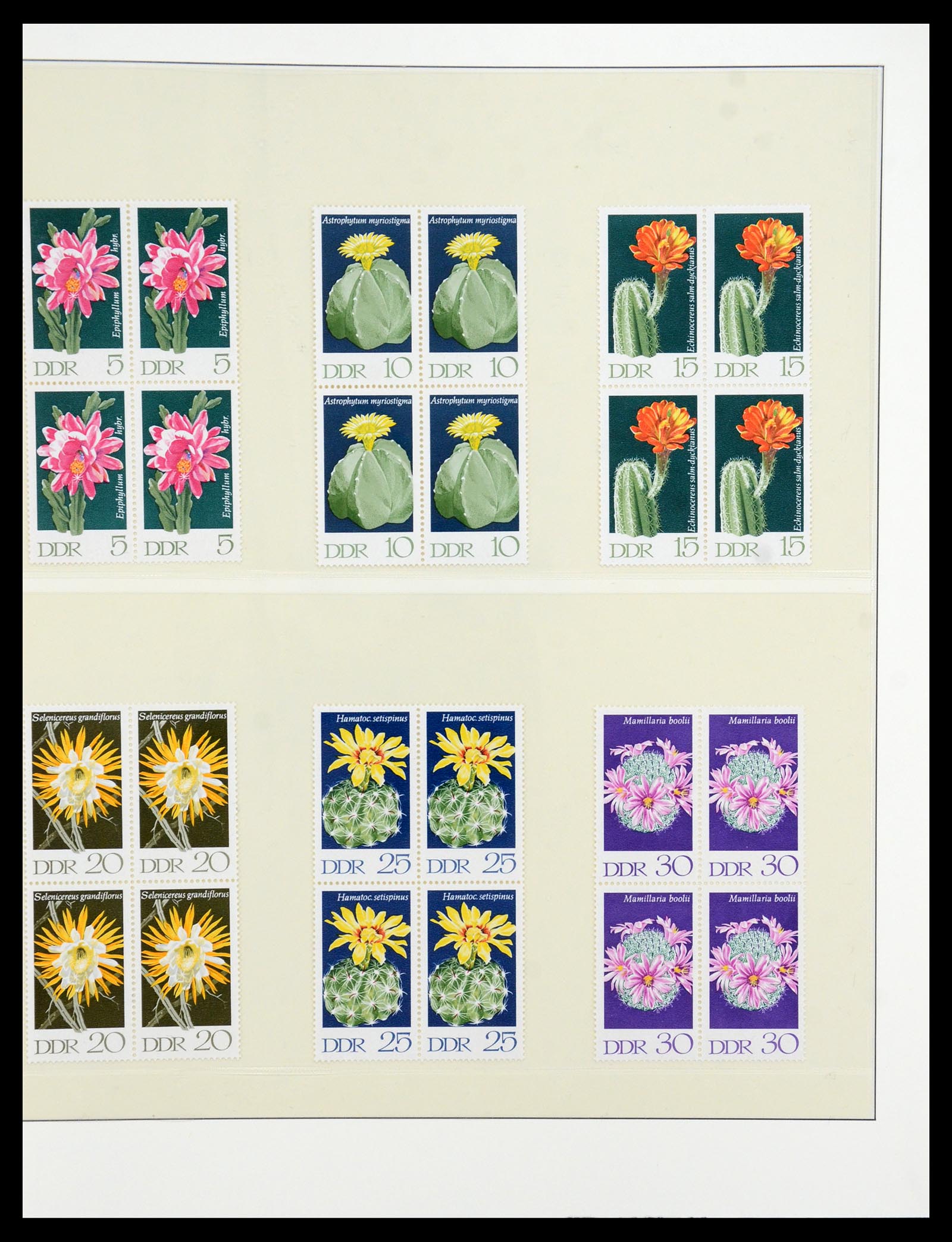36096 038 - Postzegelverzameling 36096 Motief cactus 1900-2015!