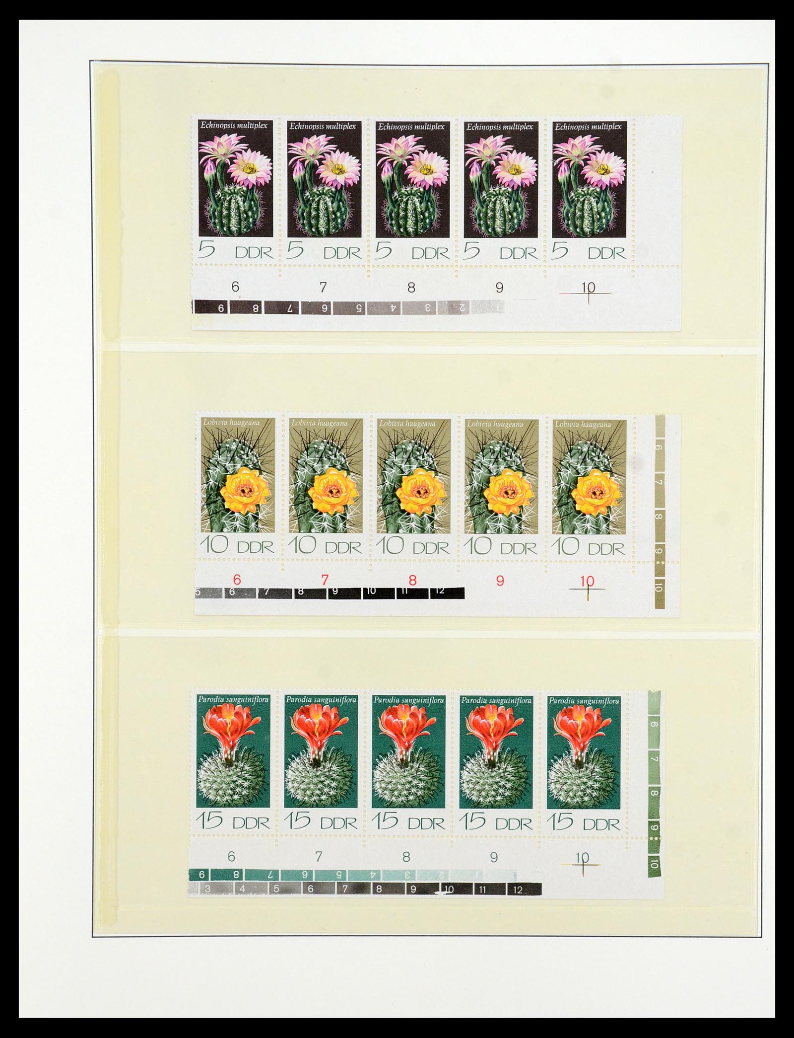 36096 040 - Postzegelverzameling 36096 Motief cactus 1900-2015!