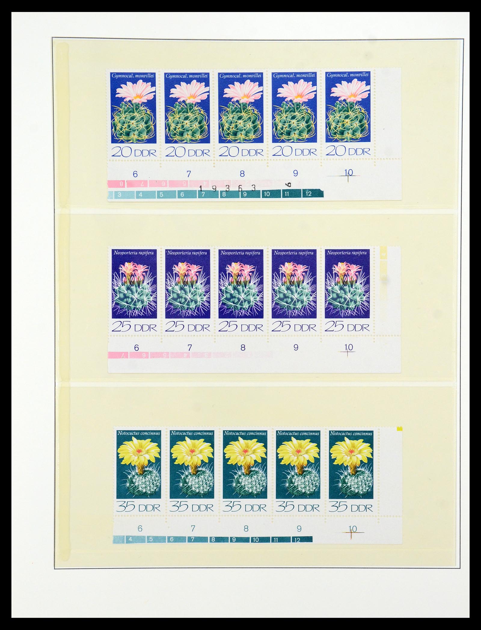 36096 041 - Postzegelverzameling 36096 Motief cactus 1900-2015!