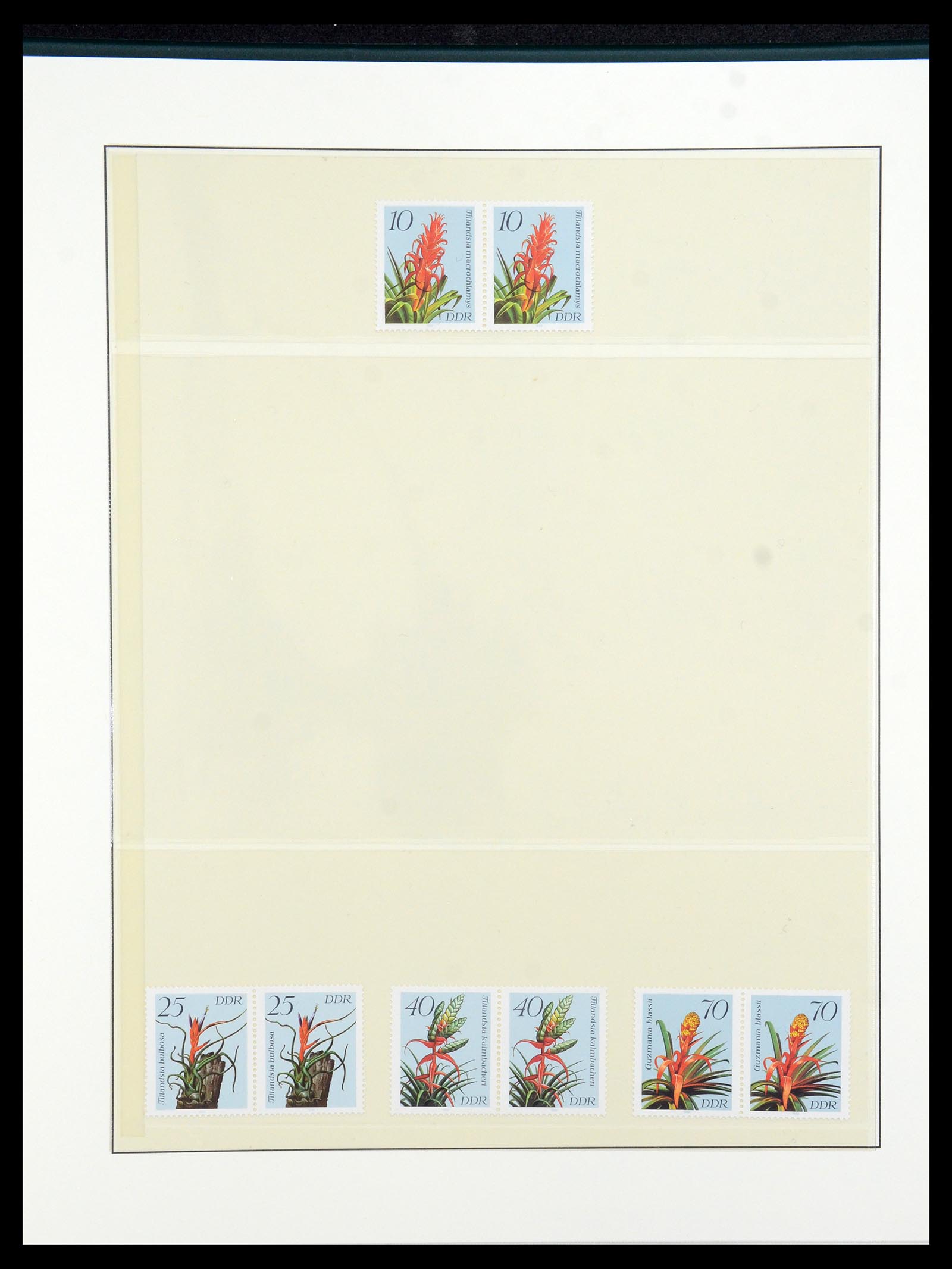 36096 044 - Postzegelverzameling 36096 Motief cactus 1900-2015!