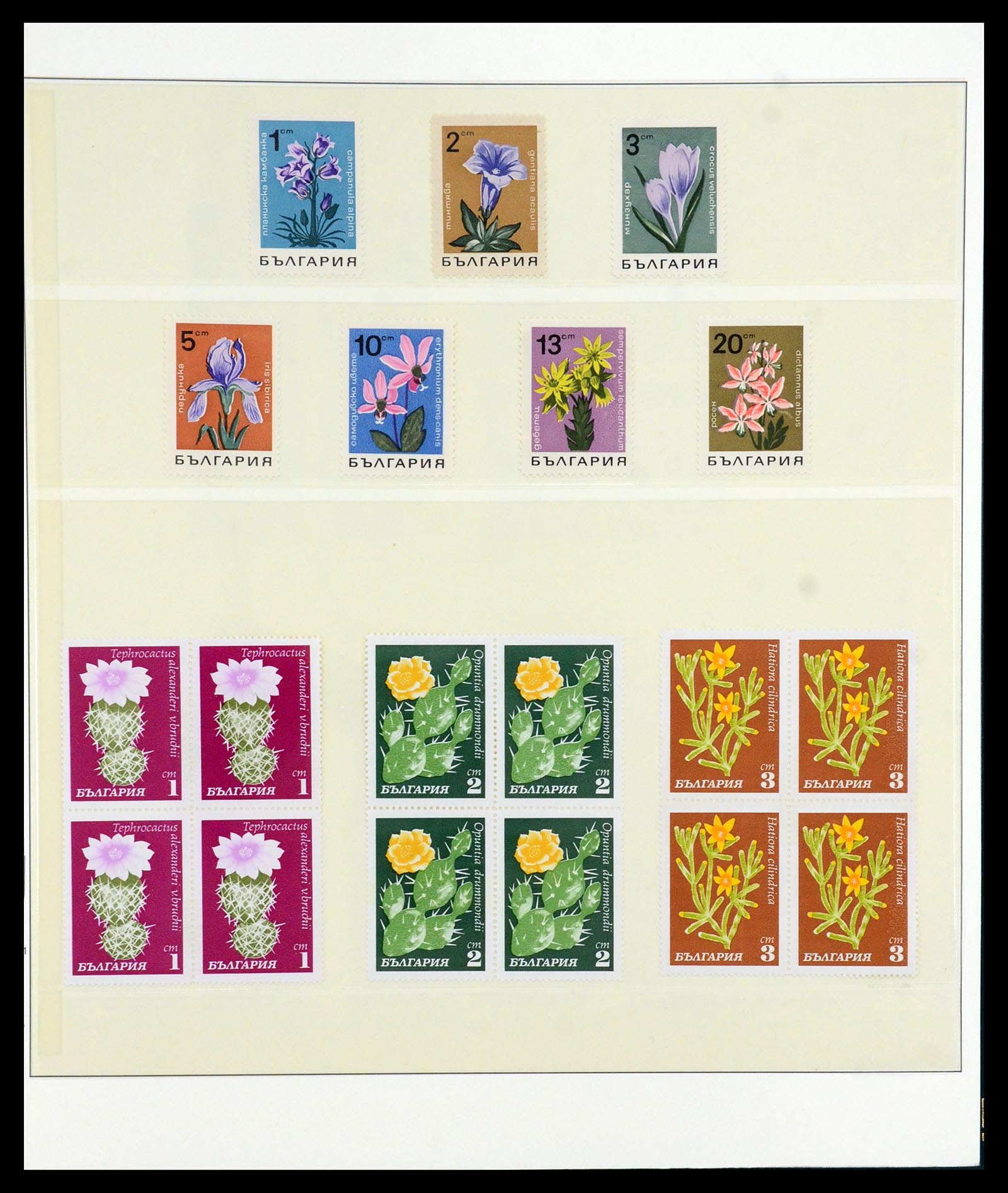 36096 057 - Postzegelverzameling 36096 Motief cactus 1900-2015!