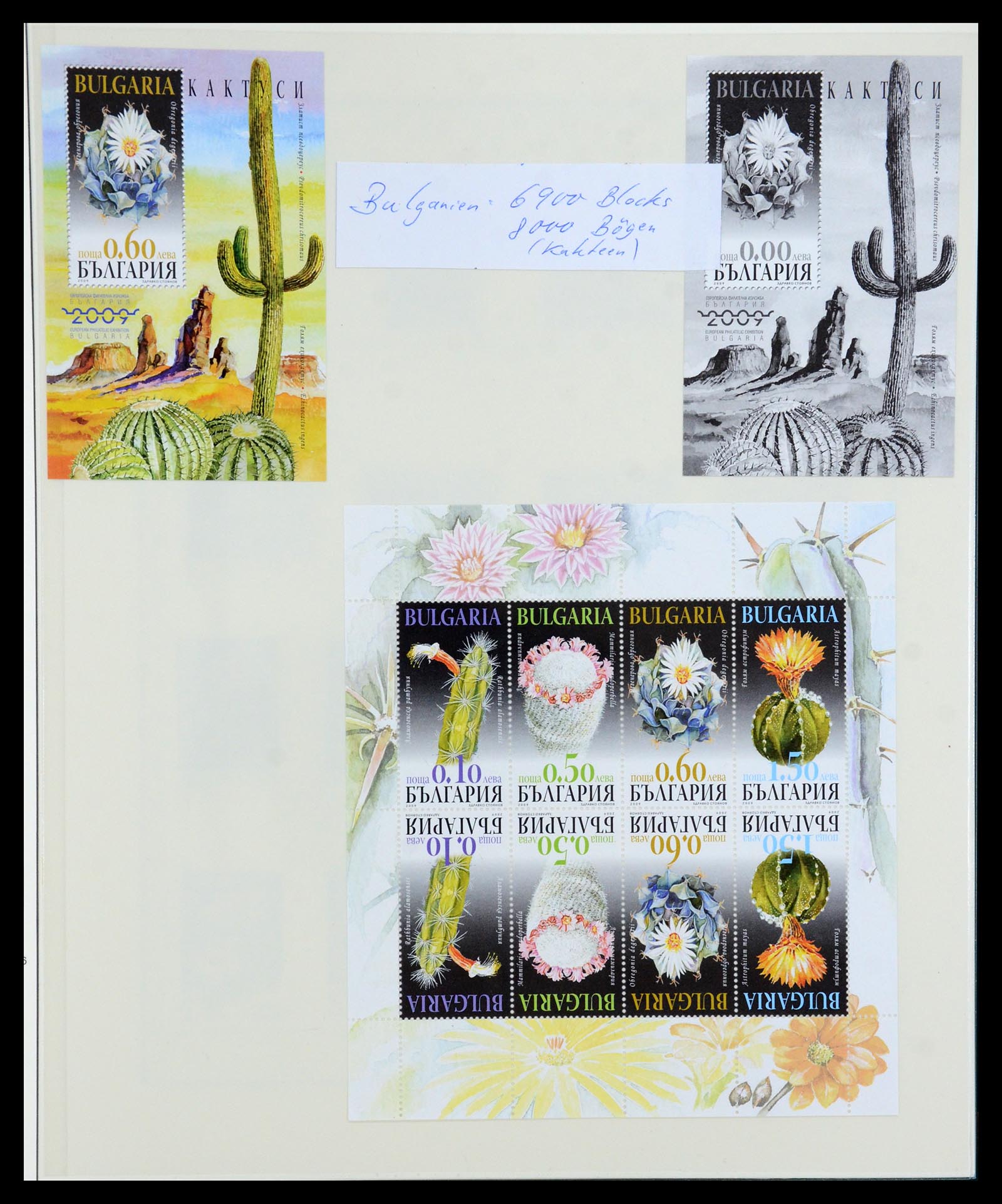 36096 061 - Stamp collection 36096 Theme cactus 1900-2015!
