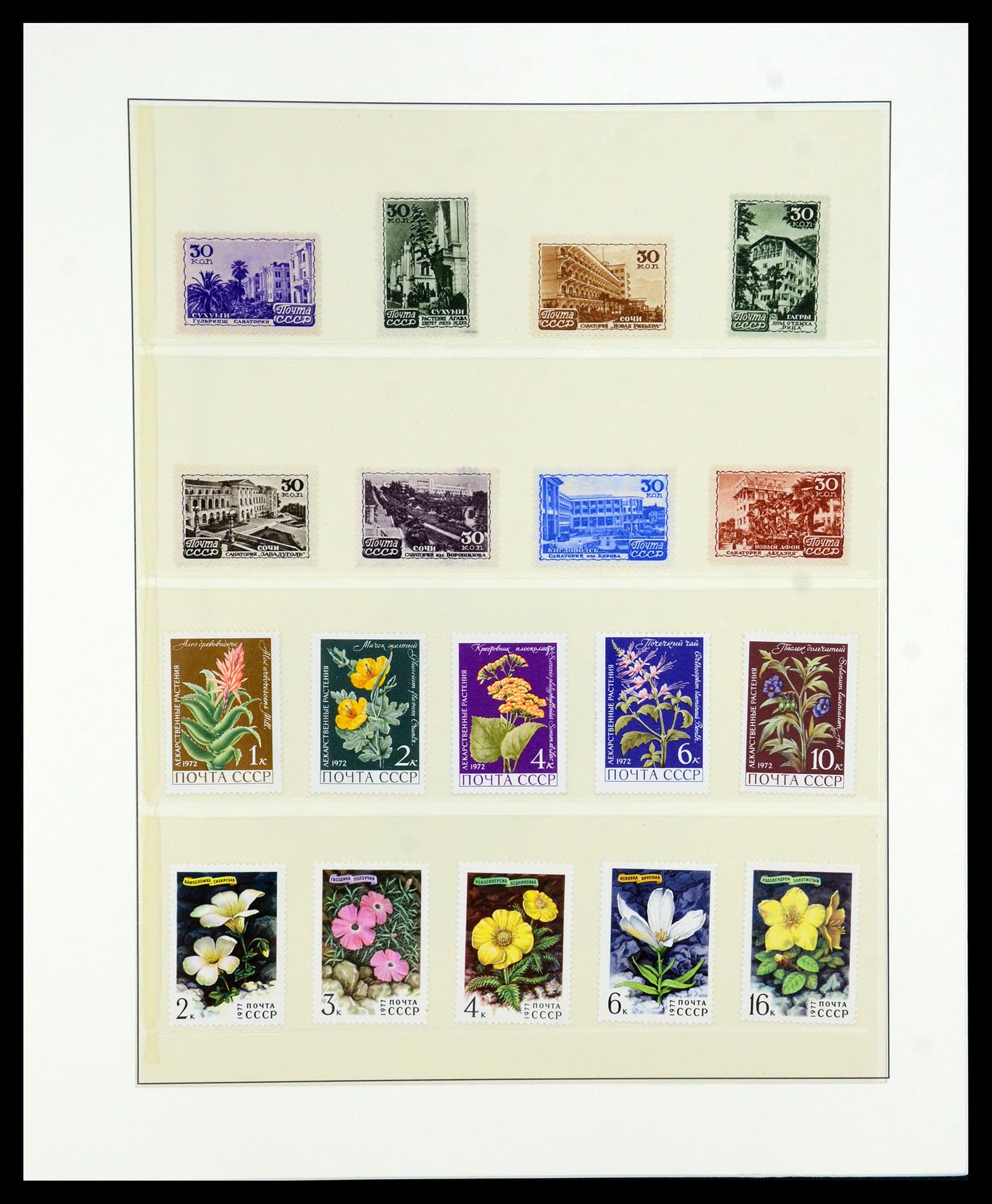 36096 062 - Stamp collection 36096 Theme cactus 1900-2015!