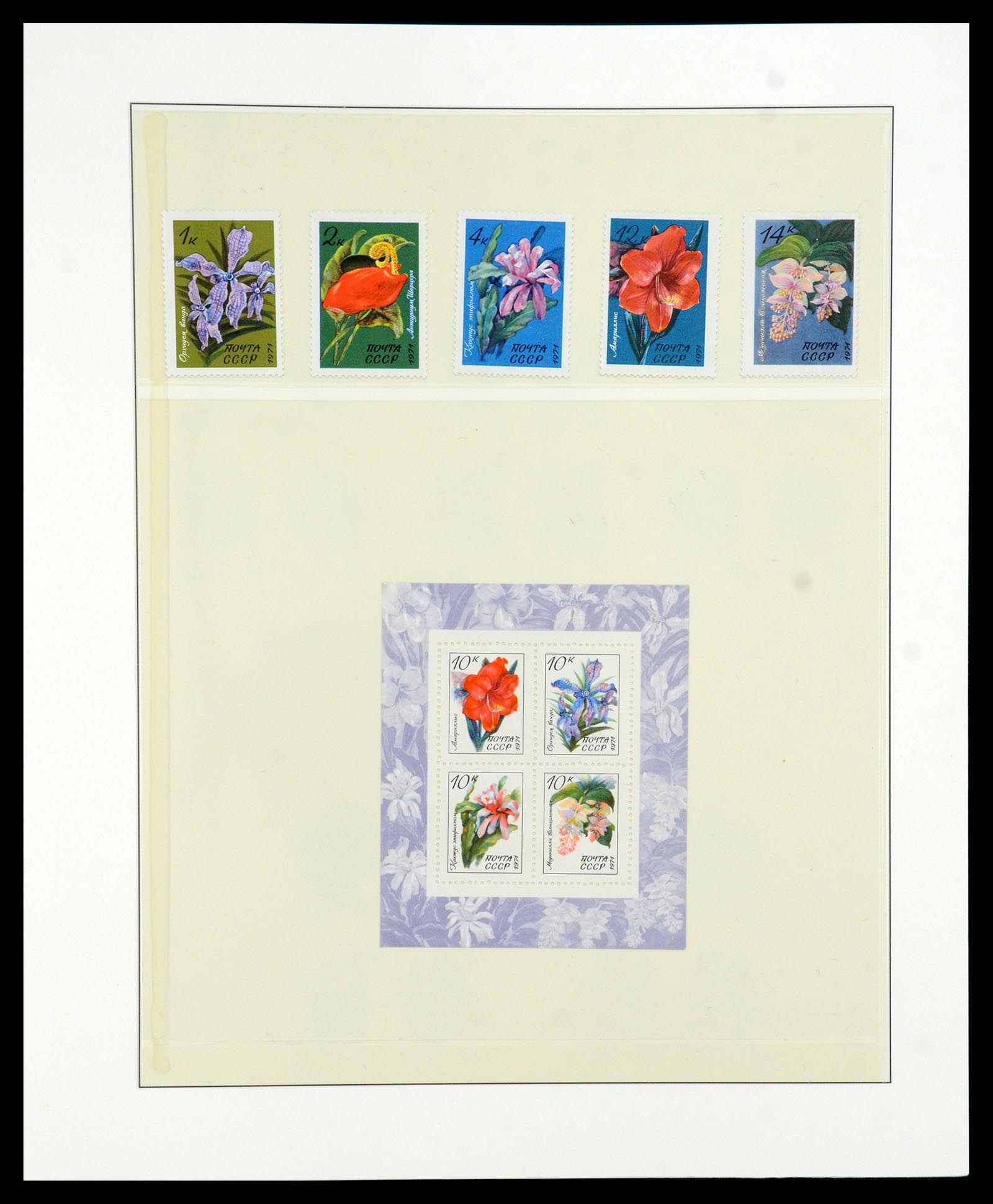 36096 063 - Stamp collection 36096 Theme cactus 1900-2015!