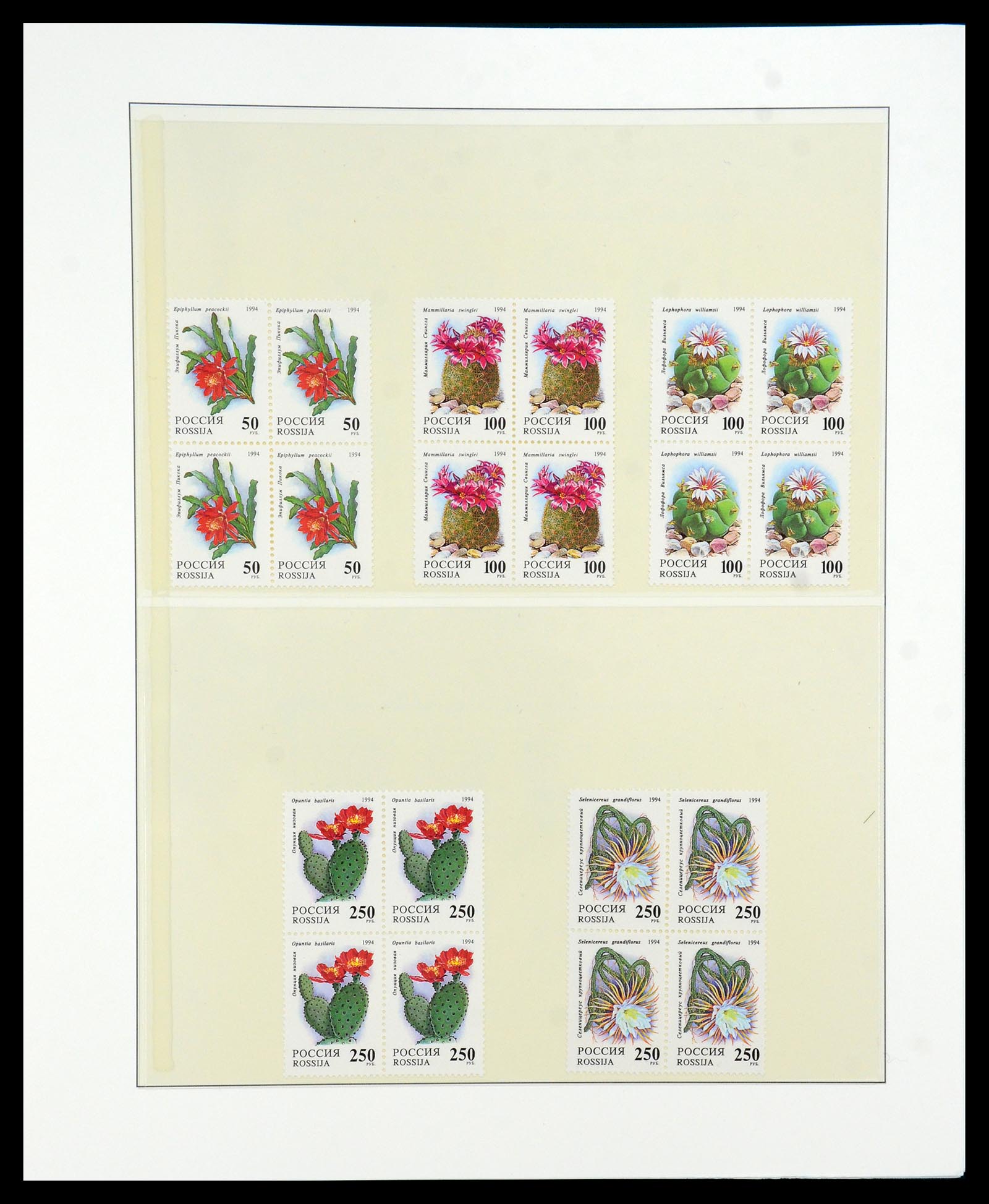 36096 064 - Stamp collection 36096 Theme cactus 1900-2015!
