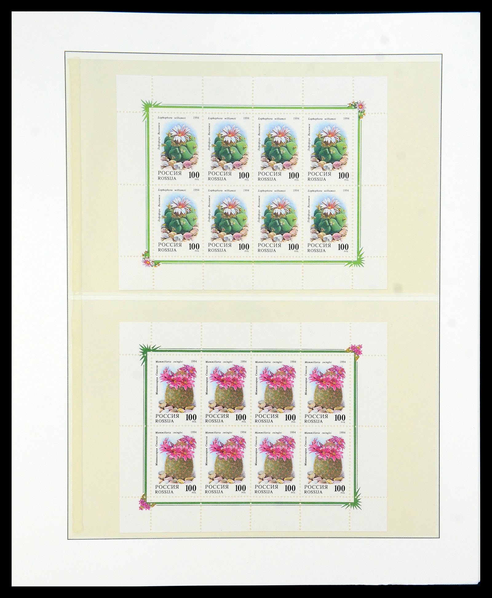36096 065 - Stamp collection 36096 Theme cactus 1900-2015!
