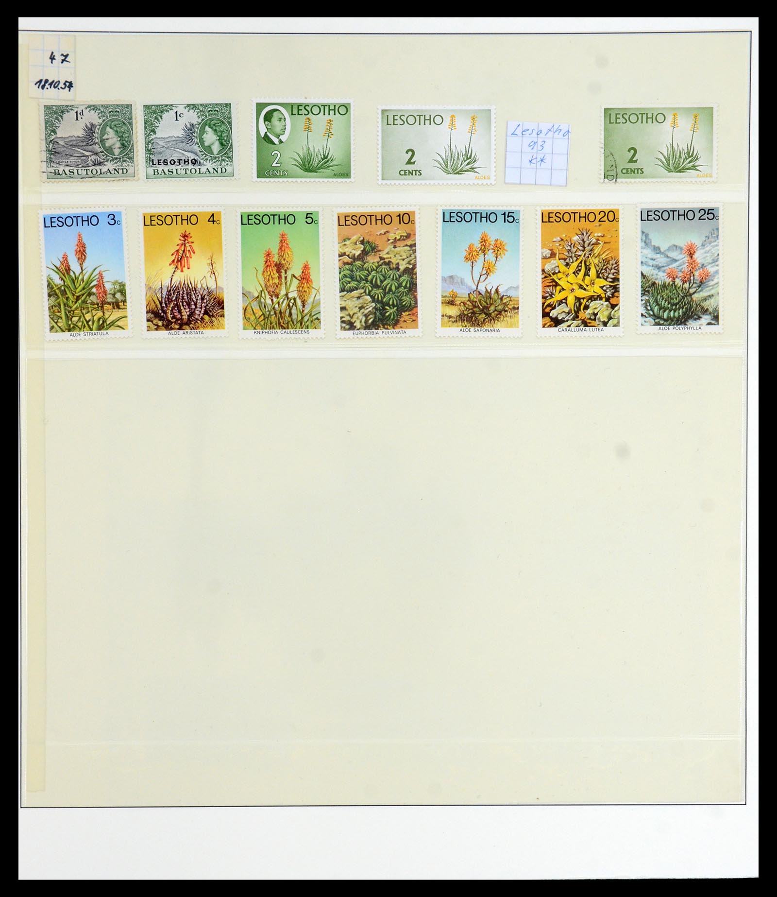 36096 083 - Stamp collection 36096 Theme cactus 1900-2015!