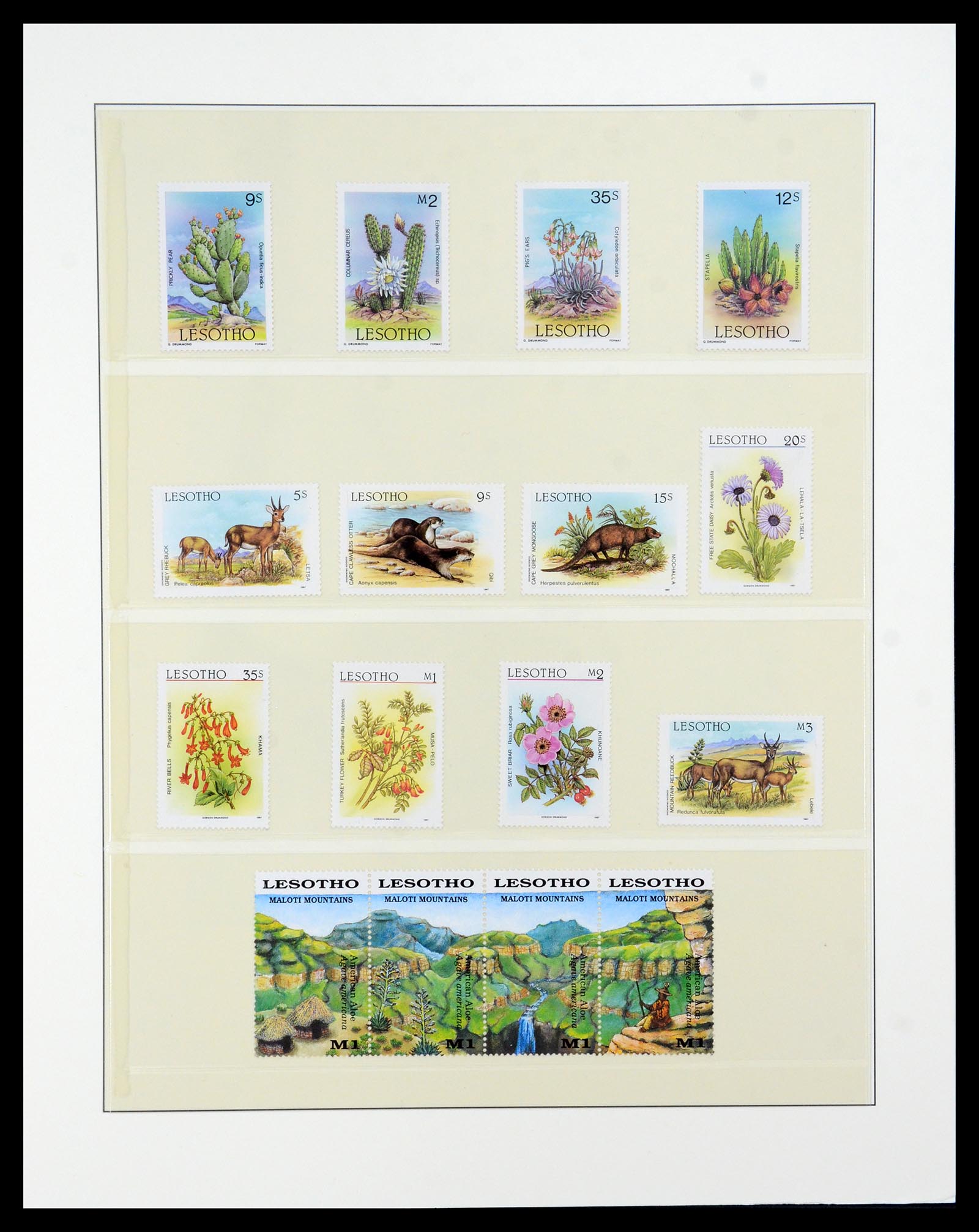 36096 086 - Stamp collection 36096 Theme cactus 1900-2015!