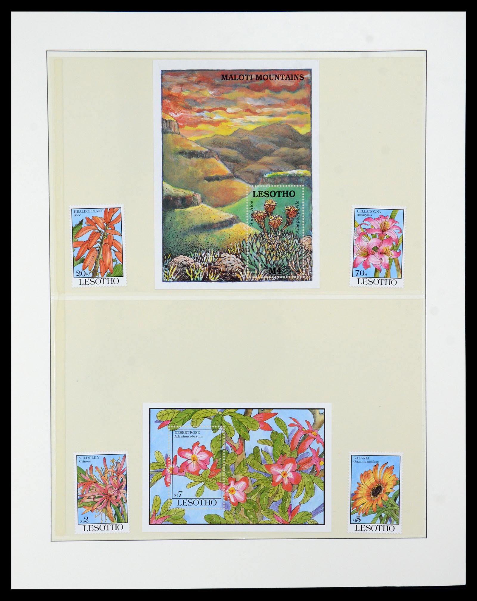 36096 088 - Stamp collection 36096 Theme cactus 1900-2015!