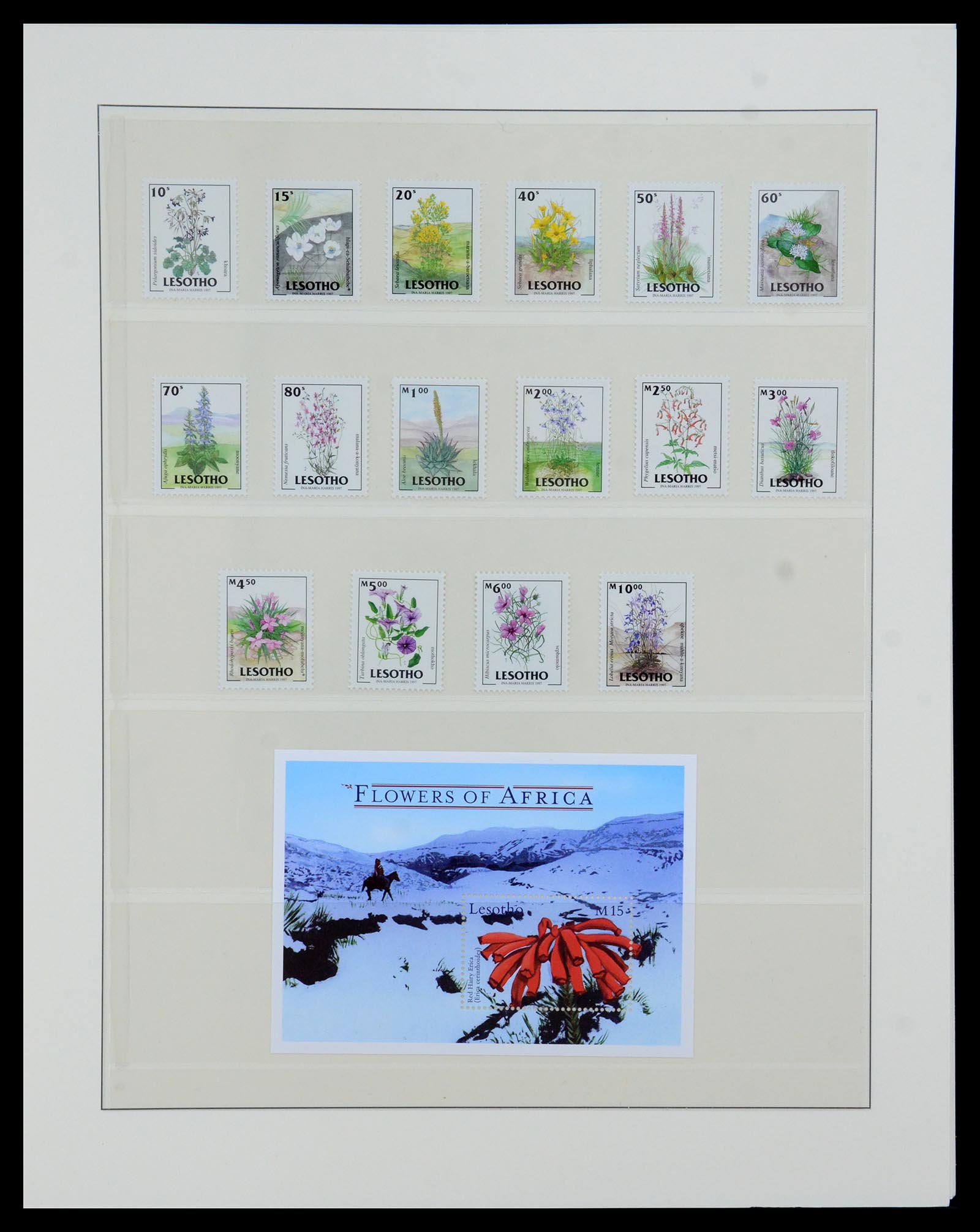 36096 090 - Stamp collection 36096 Theme cactus 1900-2015!
