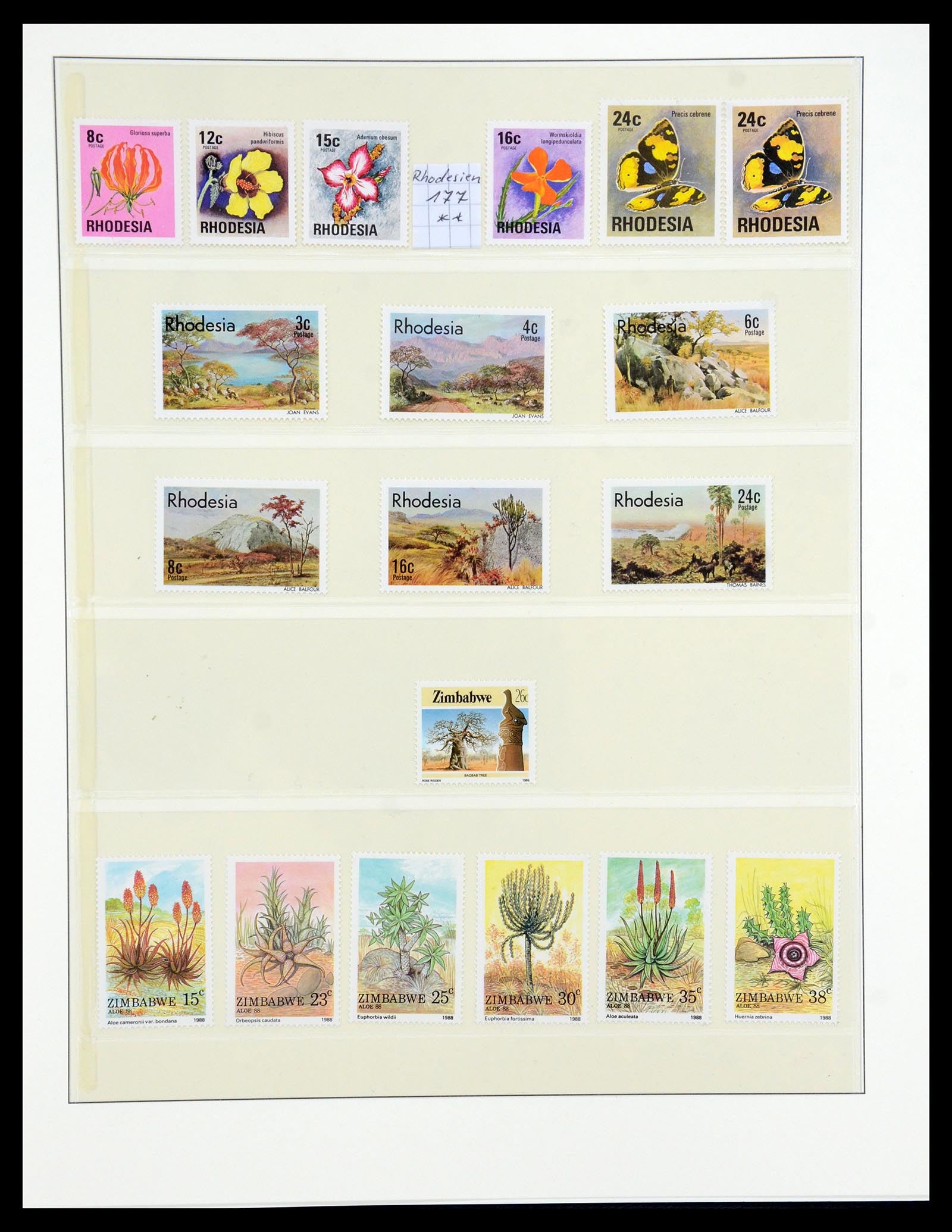36096 098 - Stamp collection 36096 Theme cactus 1900-2015!