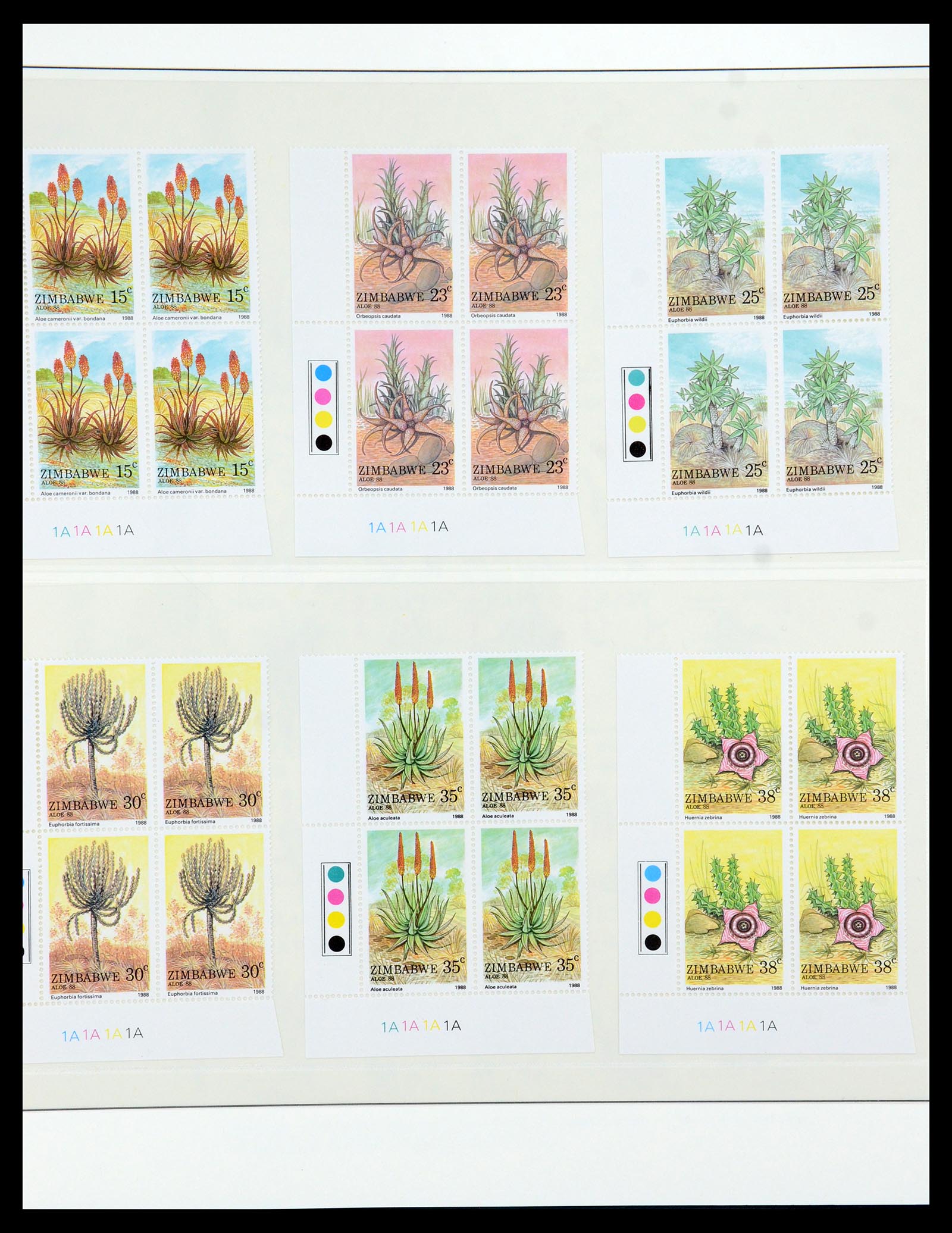 36096 099 - Stamp collection 36096 Theme cactus 1900-2015!