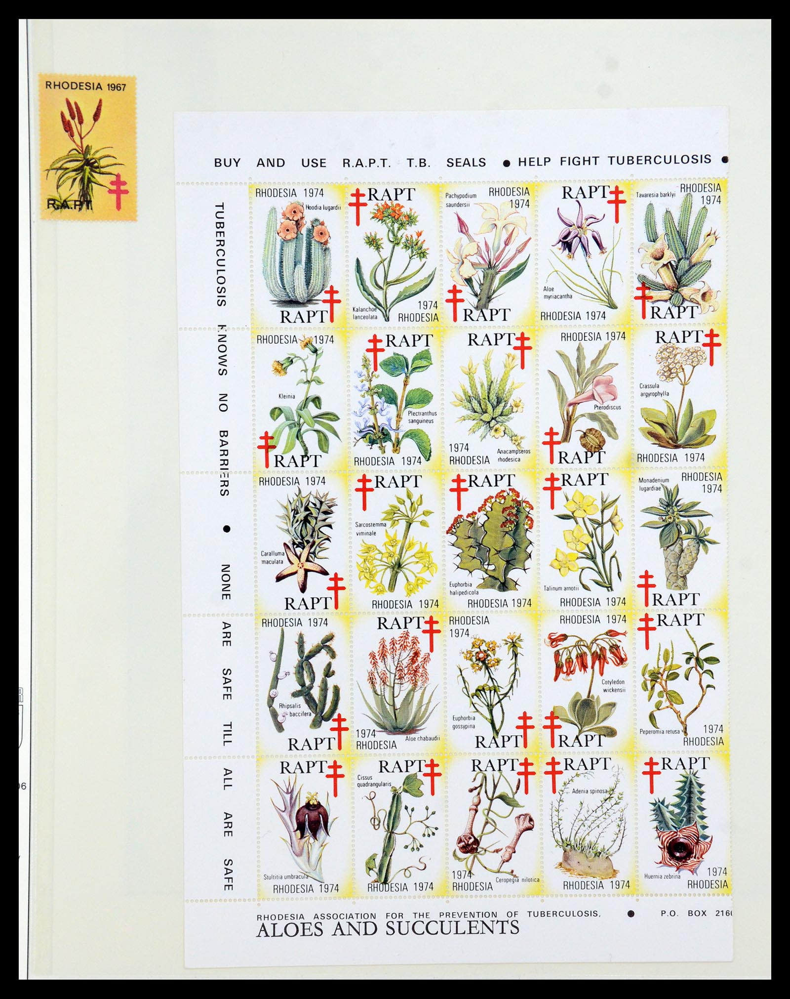 36096 100 - Stamp collection 36096 Theme cactus 1900-2015!