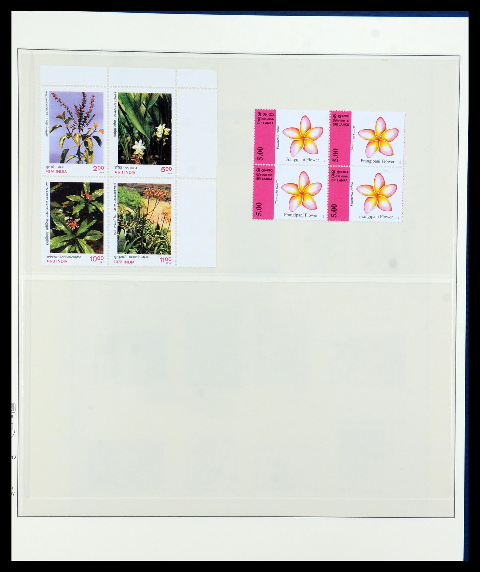 36096 704 - Stamp collection 36096 Theme cactus 1900-2015!
