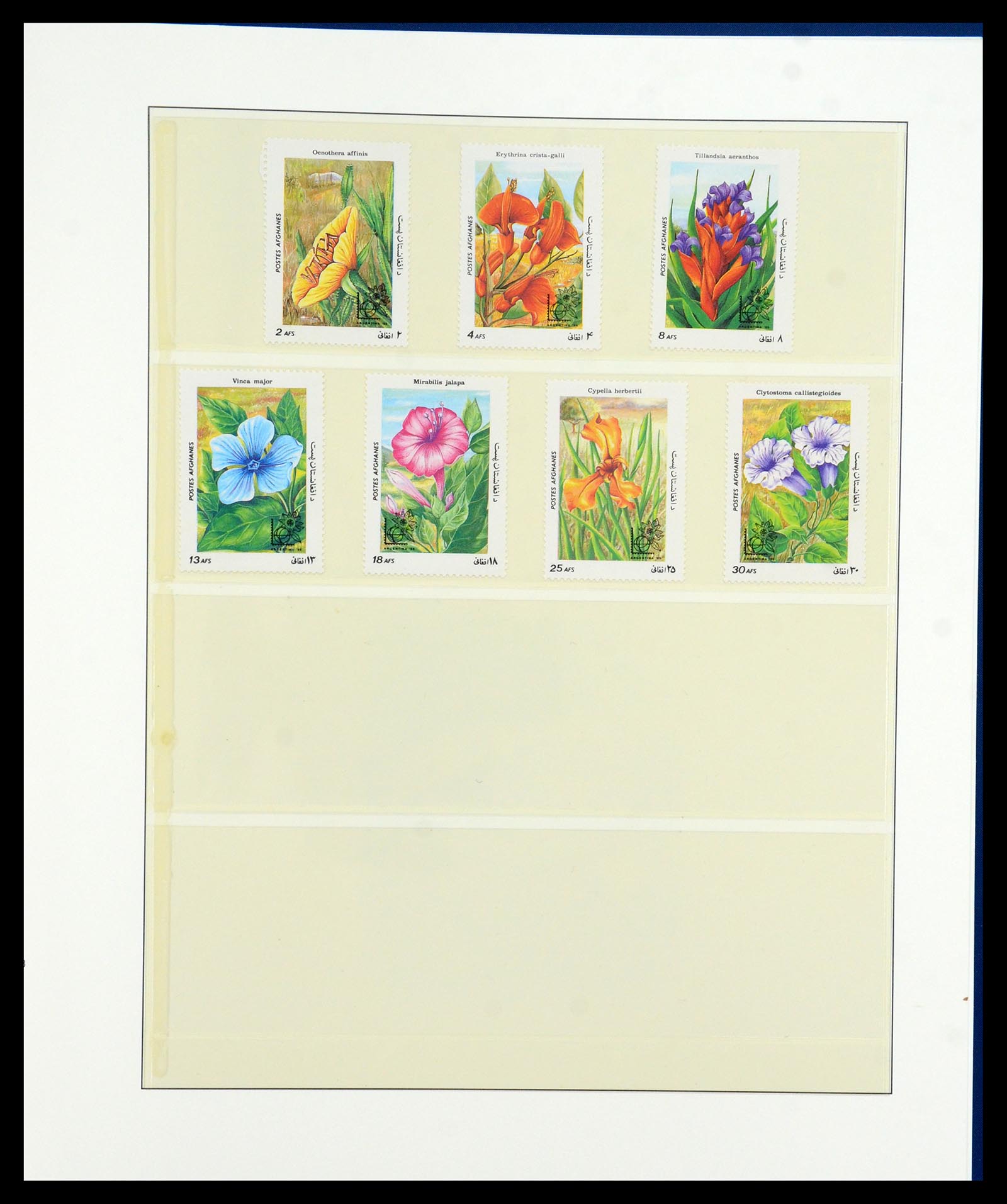 36096 707 - Stamp collection 36096 Theme cactus 1900-2015!
