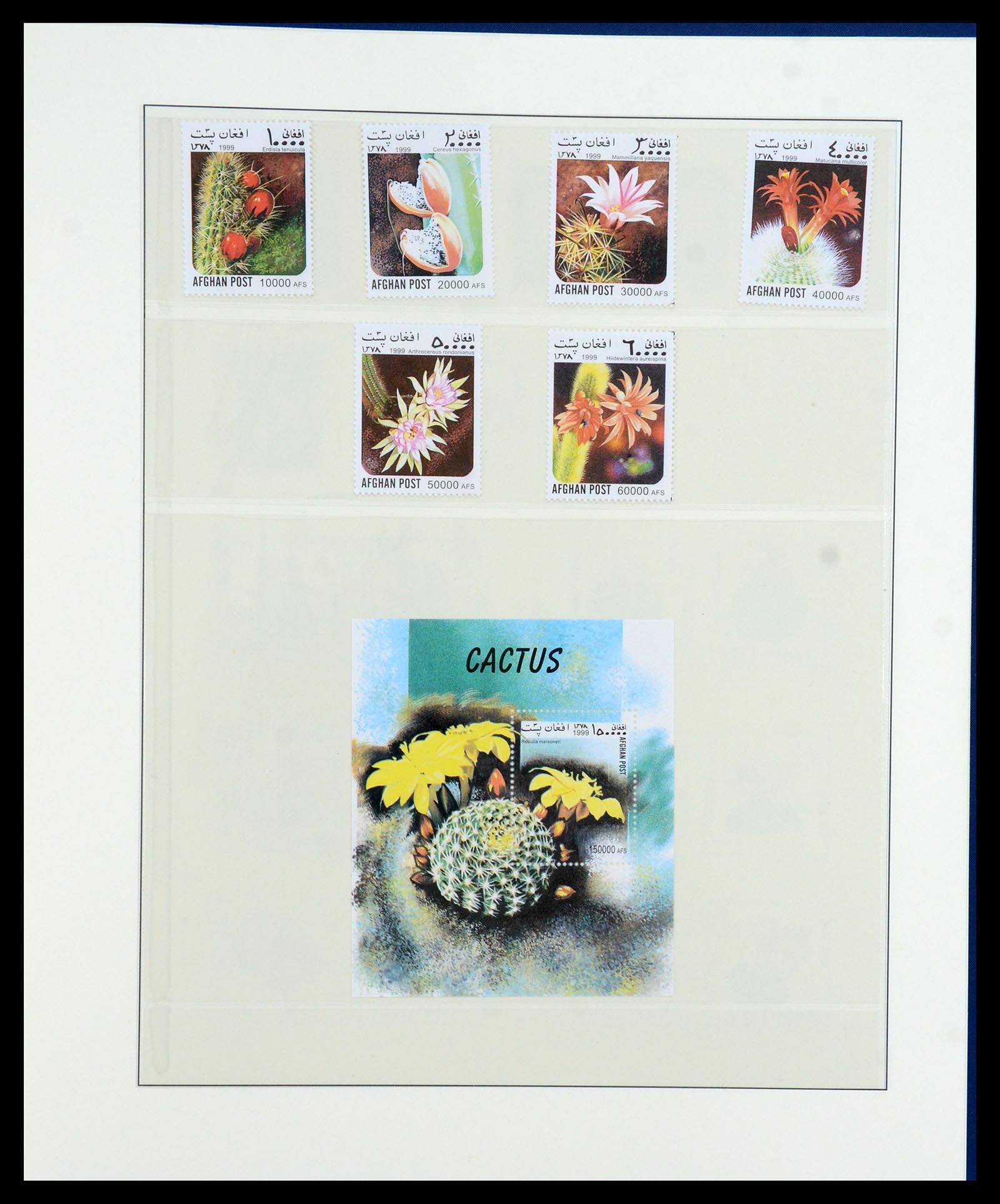 36096 708 - Stamp collection 36096 Theme cactus 1900-2015!
