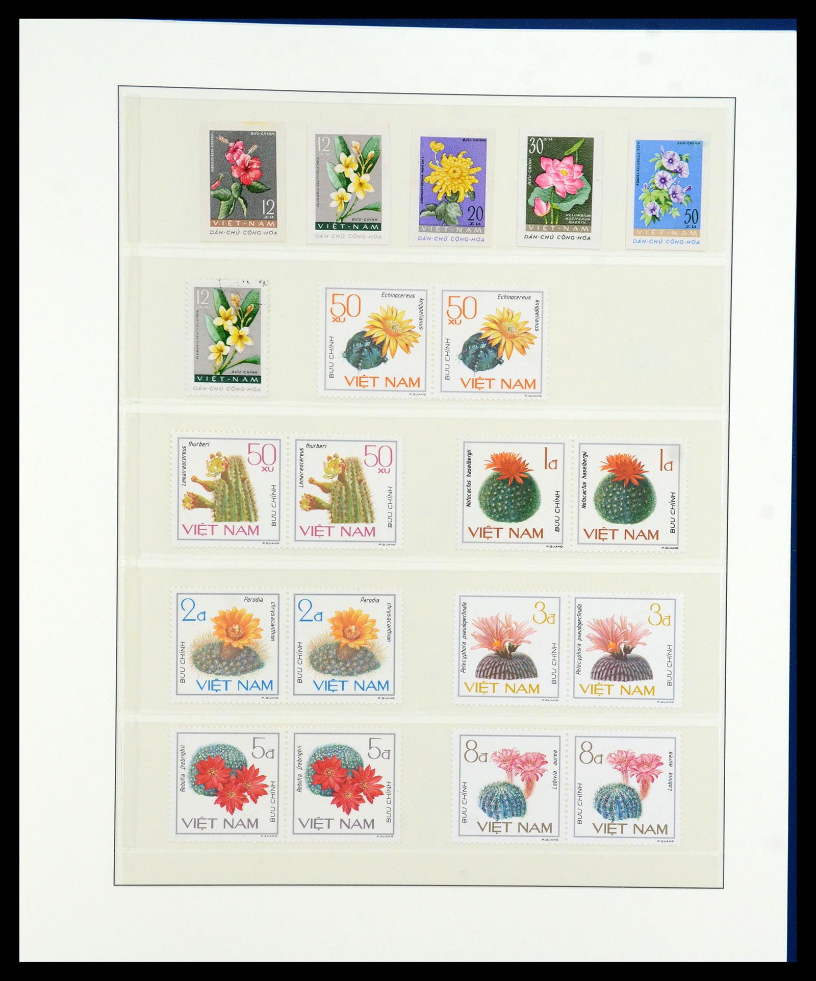 36096 709 - Stamp collection 36096 Theme cactus 1900-2015!
