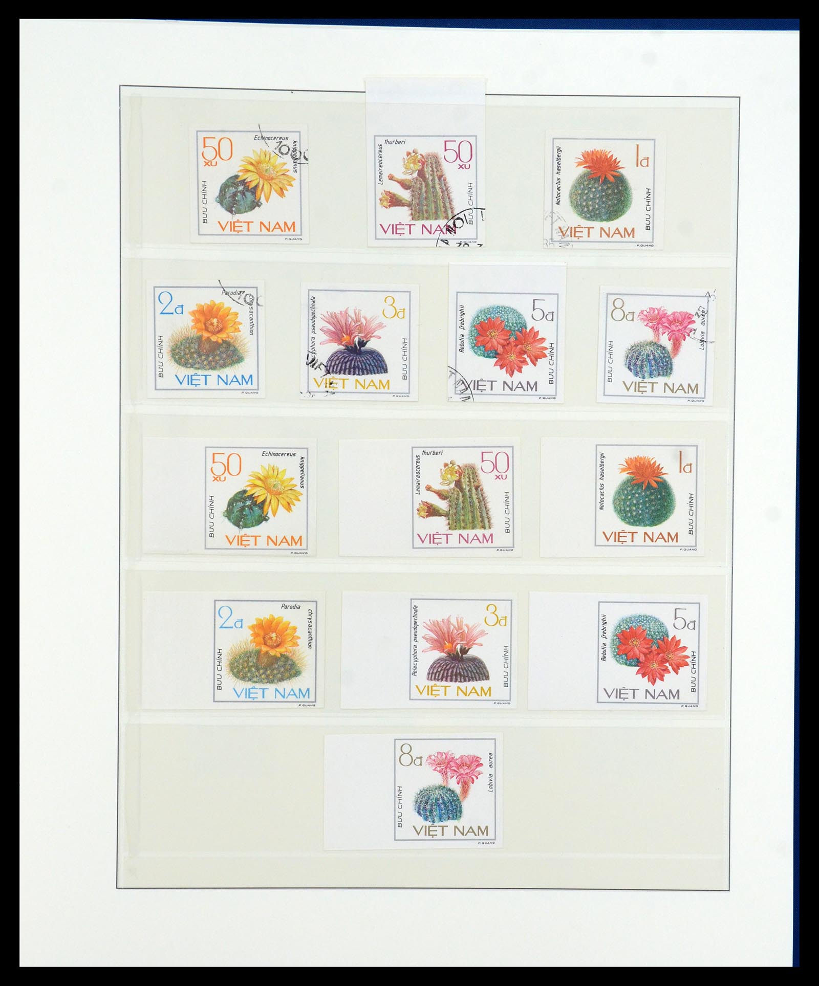 36096 710 - Stamp collection 36096 Theme cactus 1900-2015!