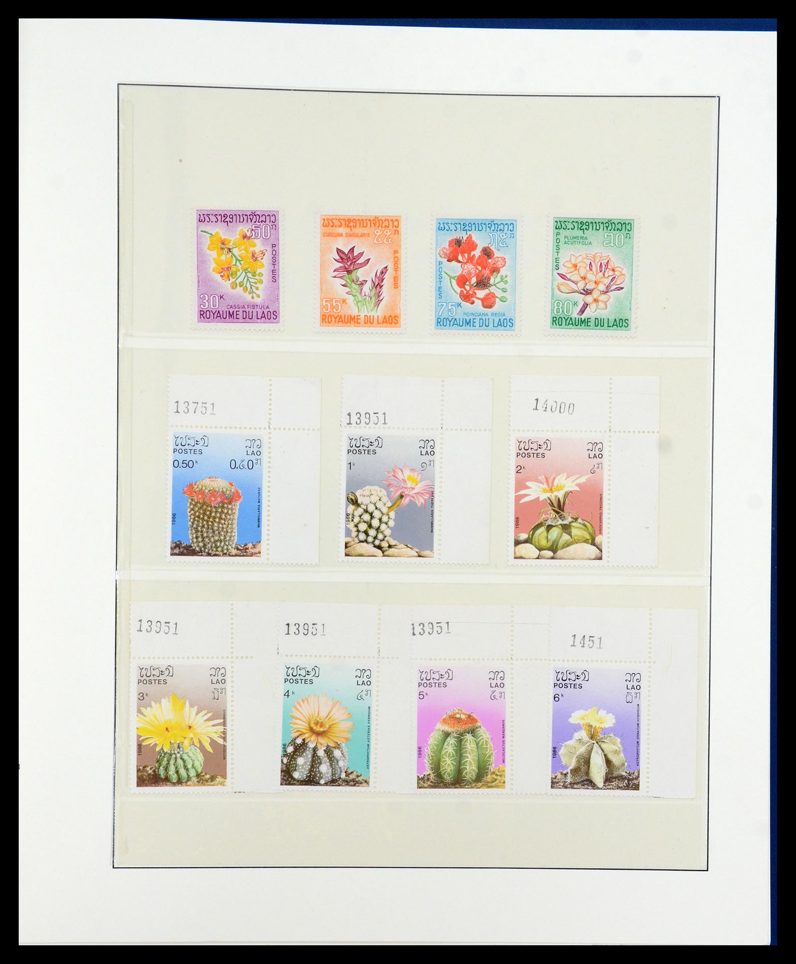 36096 716 - Stamp collection 36096 Theme cactus 1900-2015!